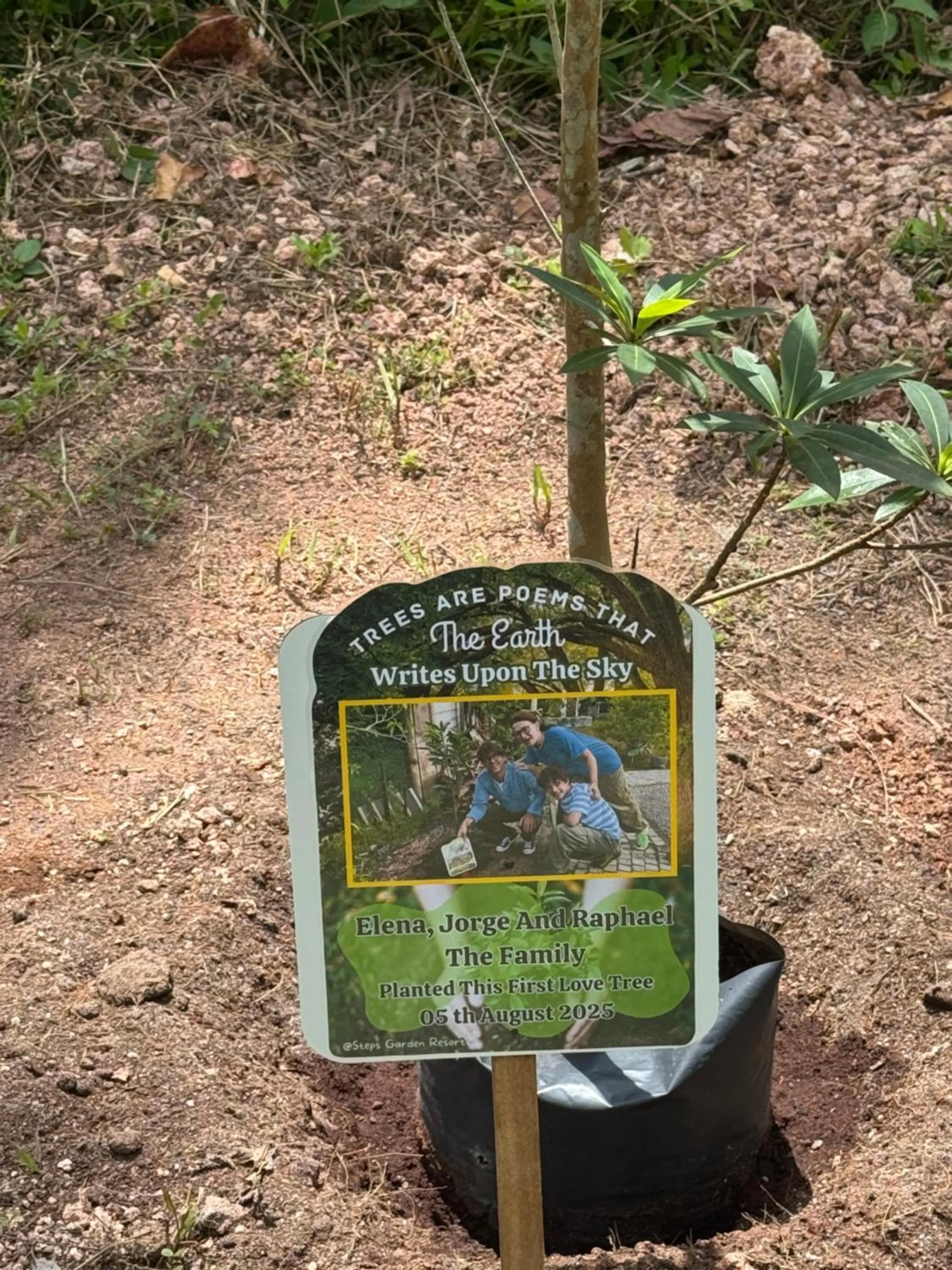 Garden in Steps Garden Resort