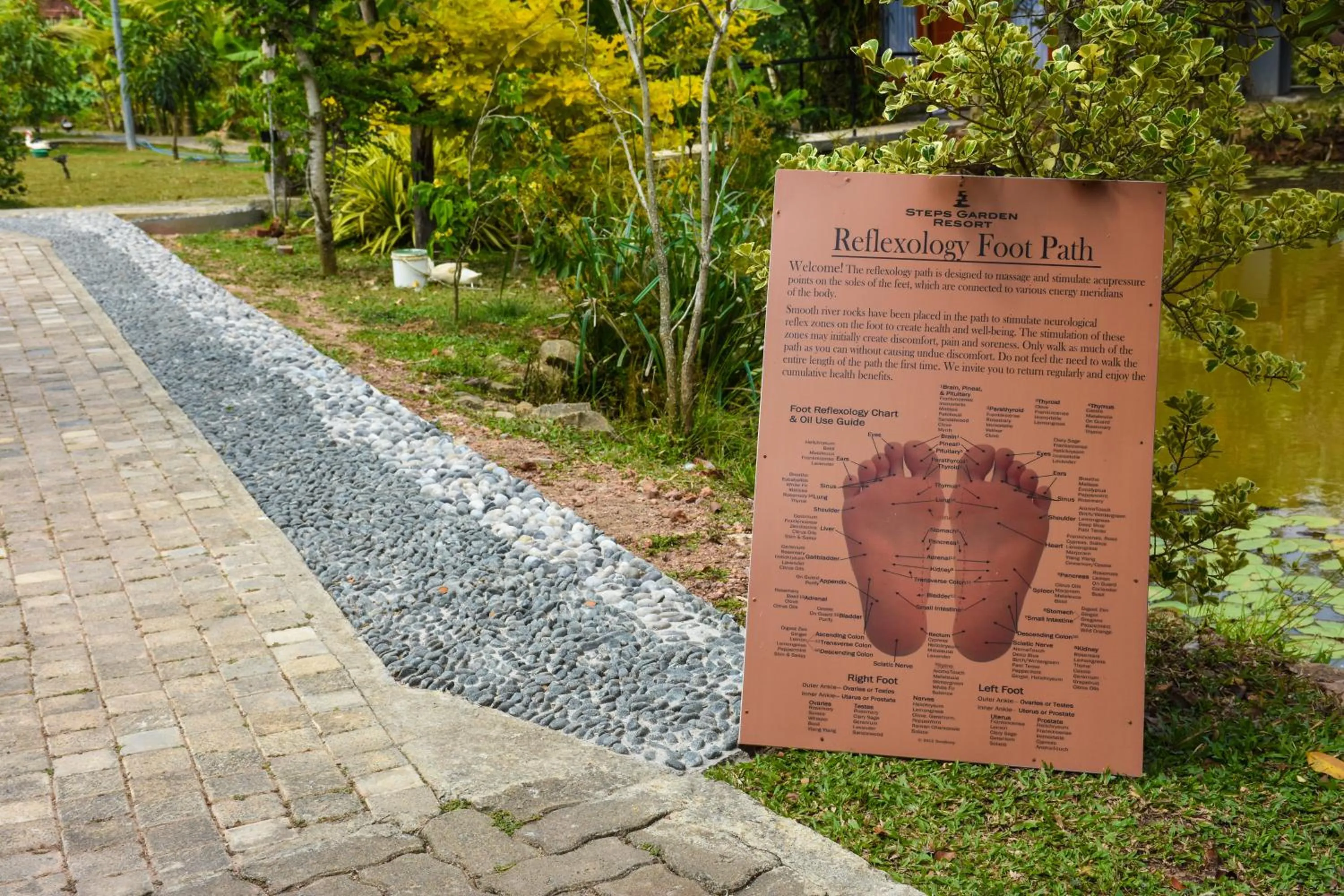 Fitness centre/facilities in Steps Garden Resort