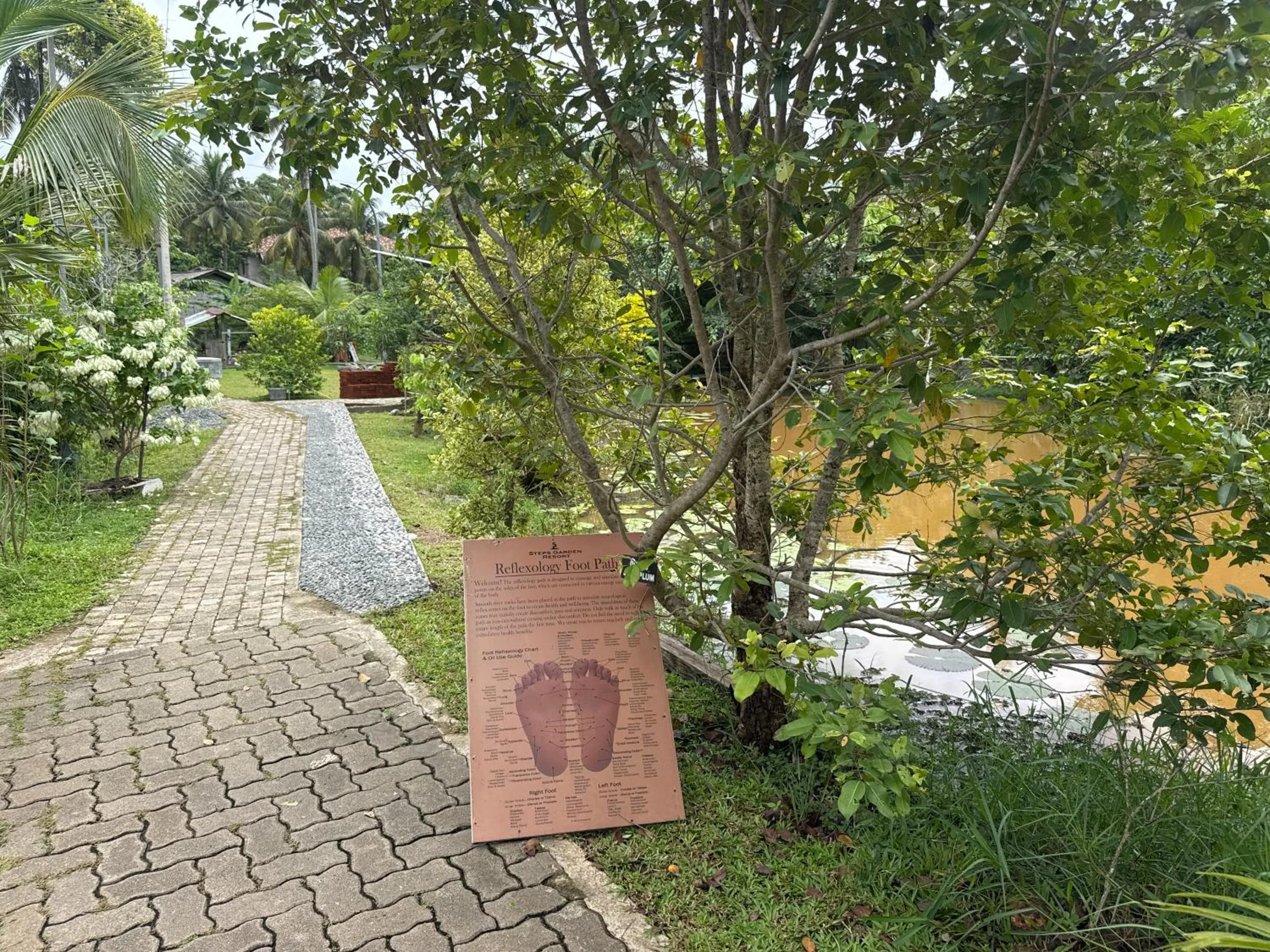 Natural landscape in Steps Garden Resort