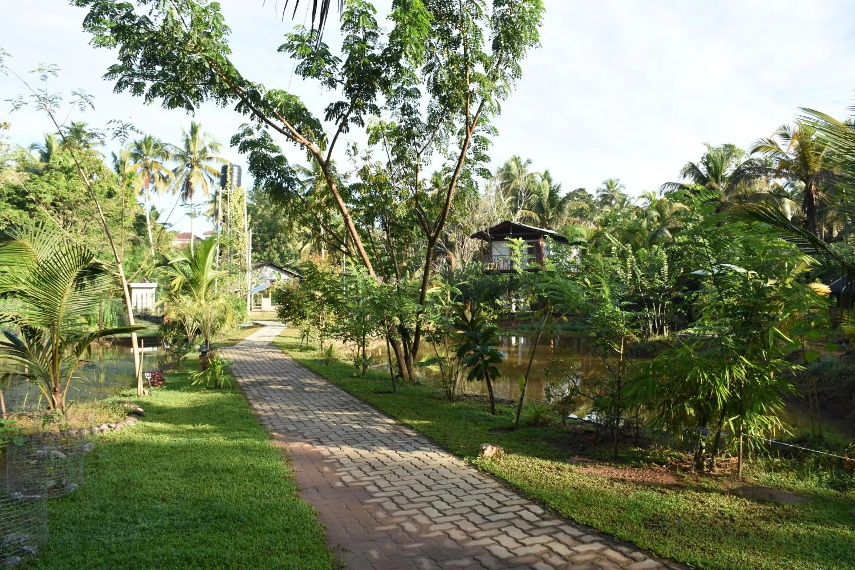 Garden in Steps Garden Resort