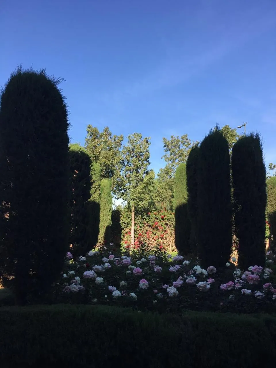 Spring in Al Fassia Aguedal