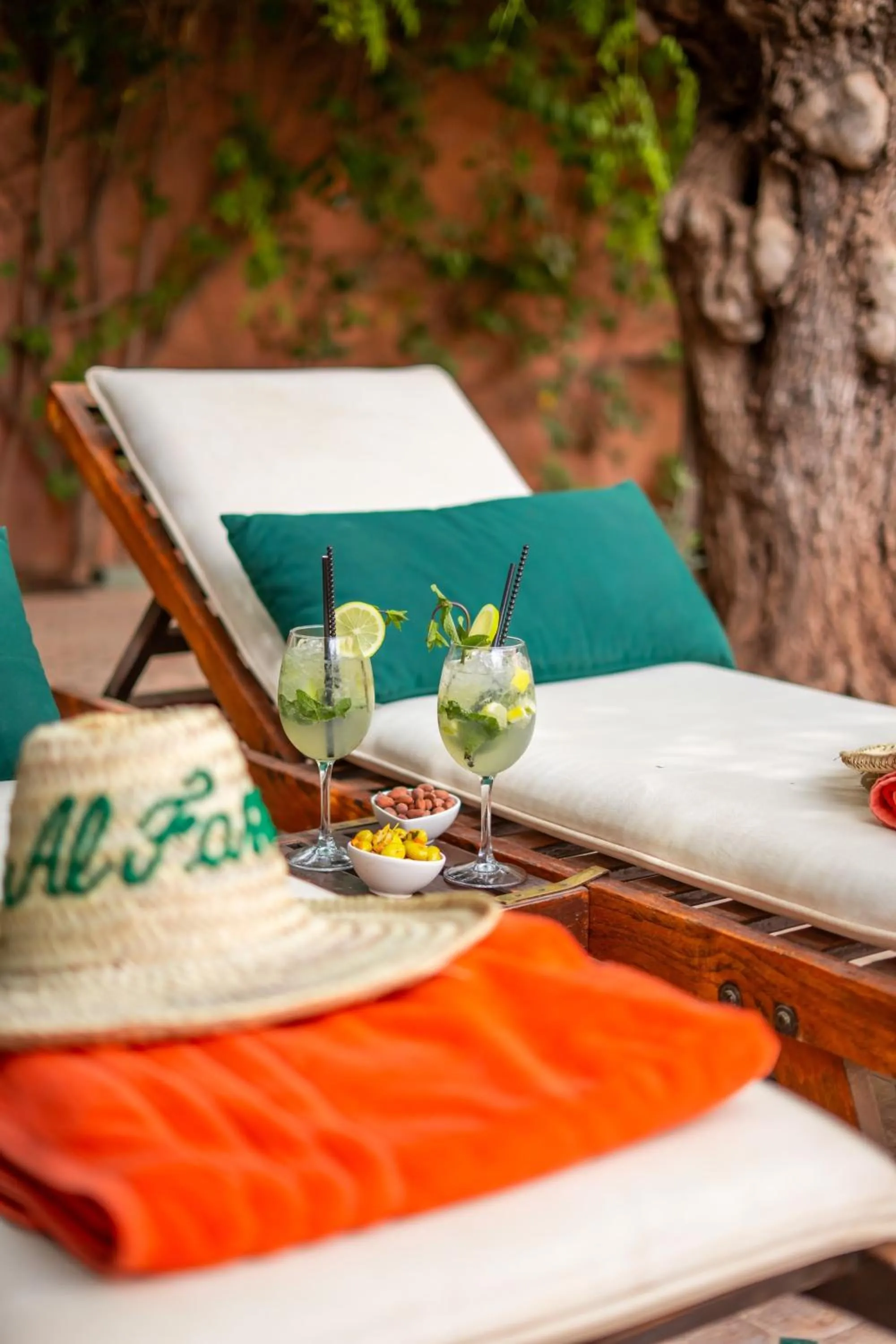 Day in Al Fassia Aguedal