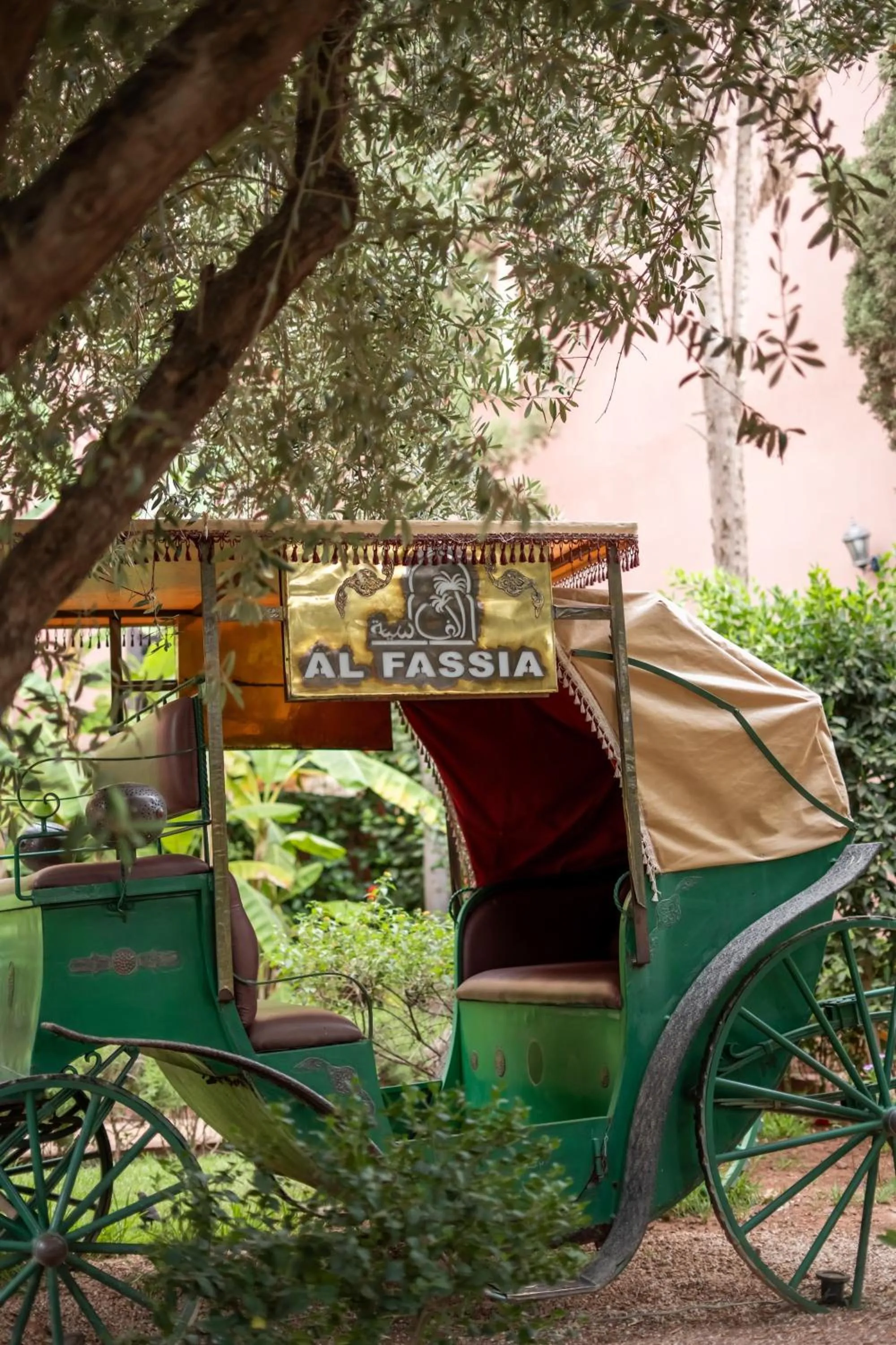 Spring in Al Fassia Aguedal