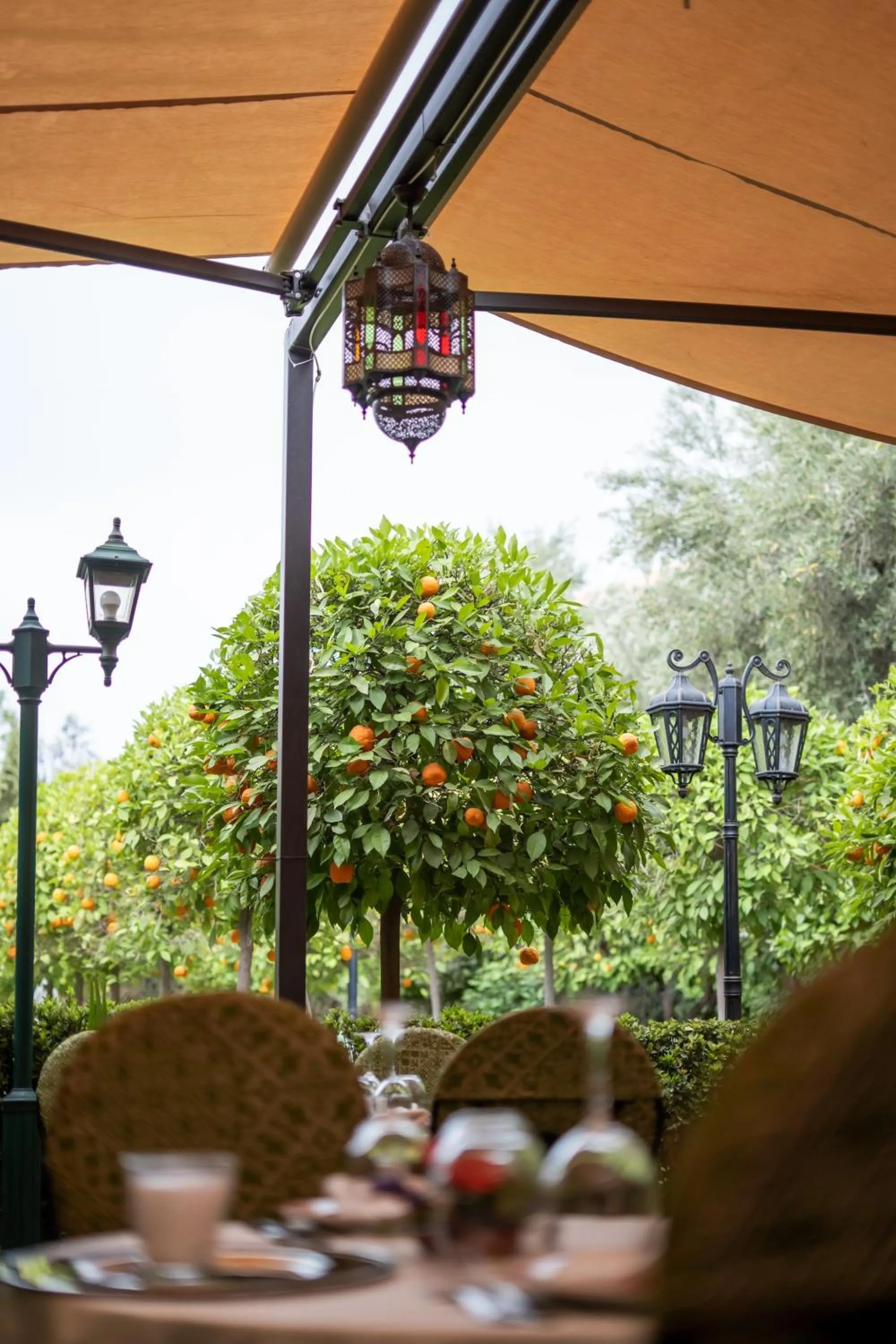 Restaurant/places to eat in Al Fassia Aguedal