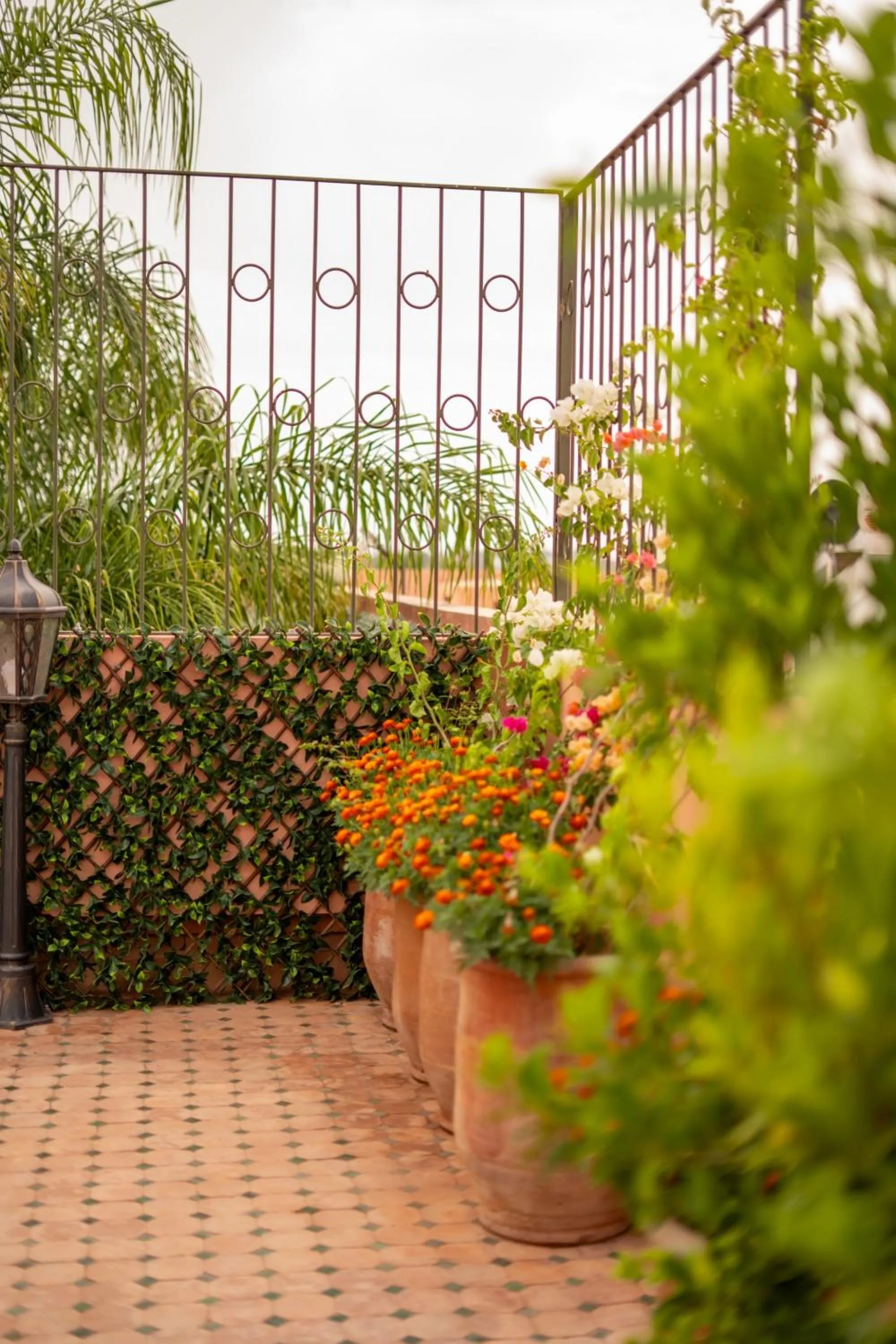 Spring in Al Fassia Aguedal