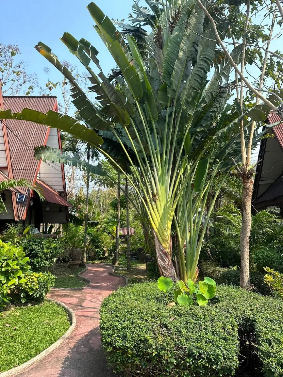 Garden in Soft Resort Kad Farang Hangdong