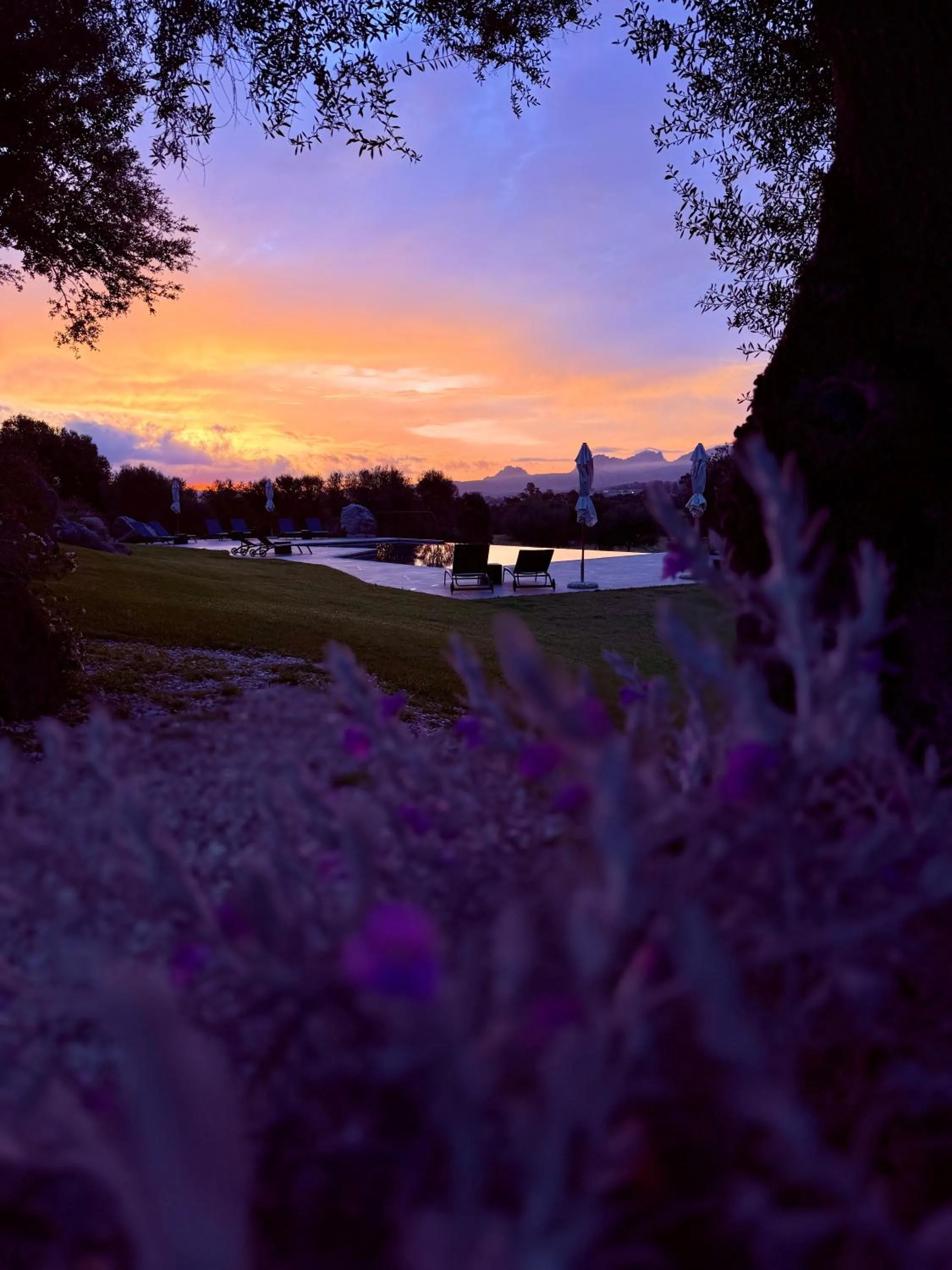 Natural landscape in Uddastri Retreat