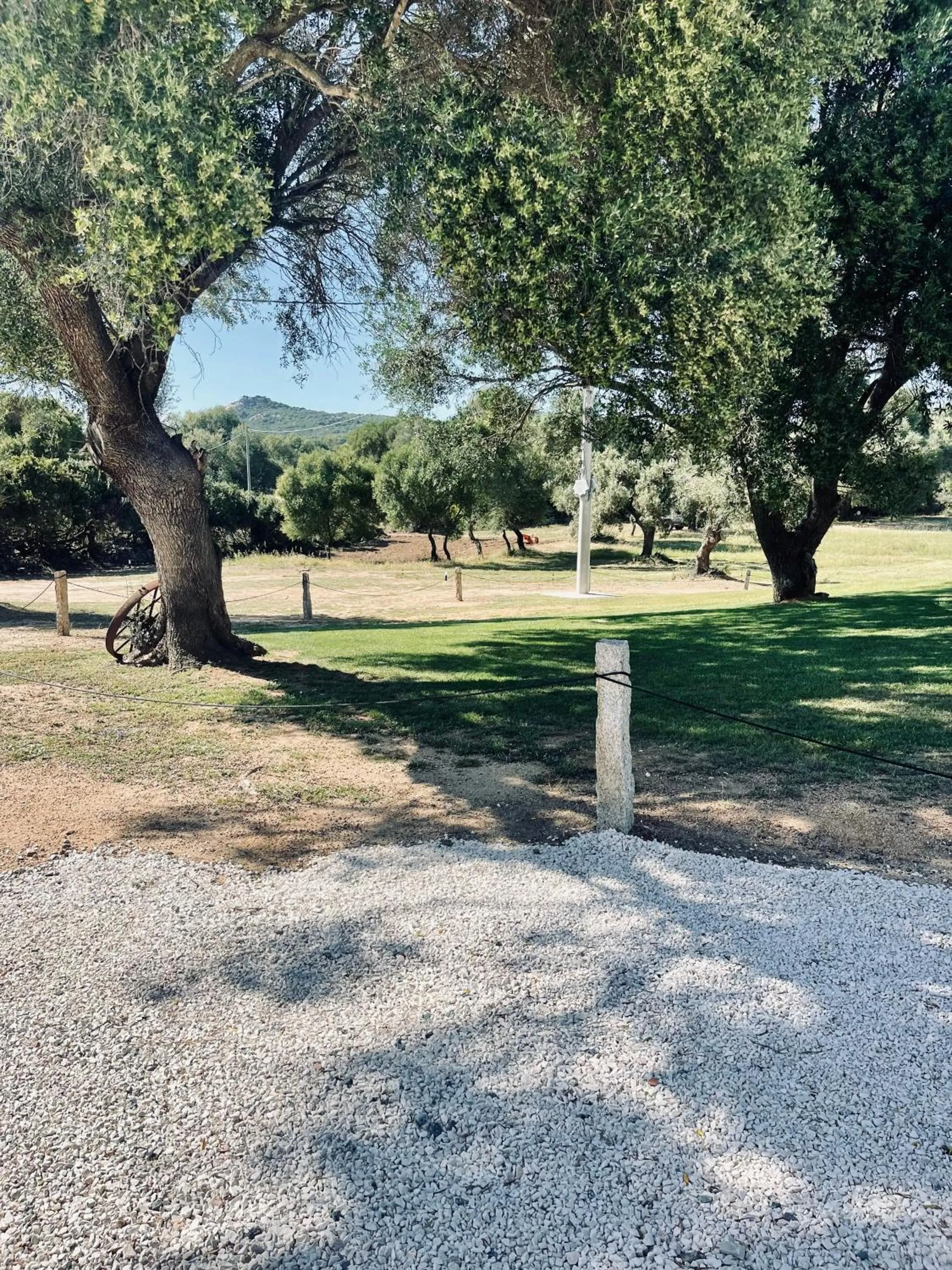 Garden in Uddastri Retreat