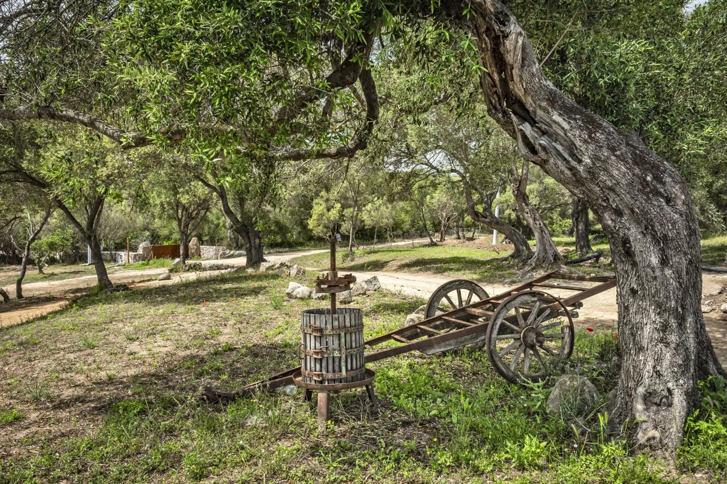 Natural landscape in Uddastri Retreat
