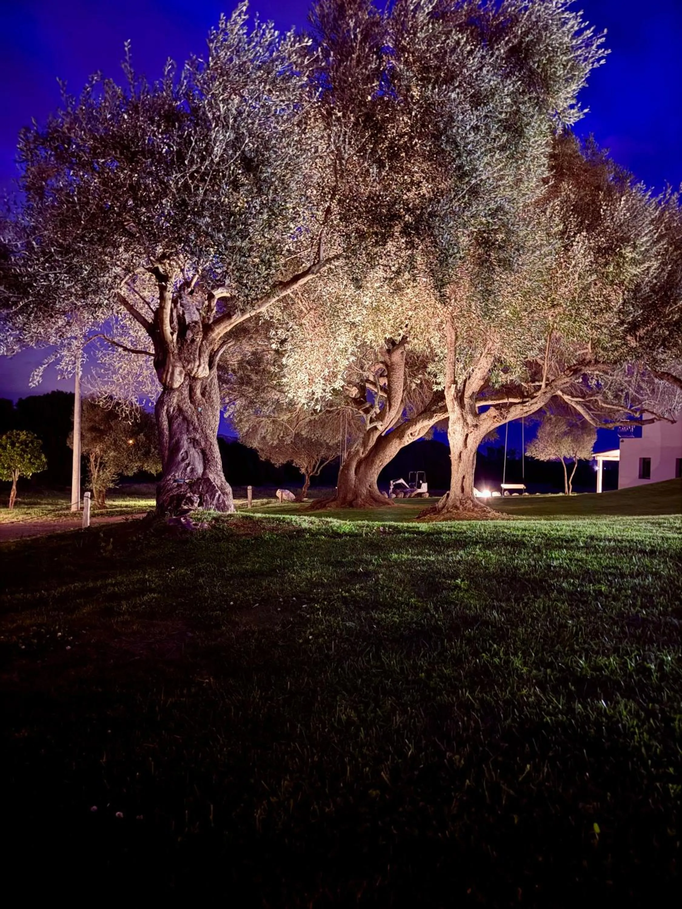 Night in Uddastri Retreat