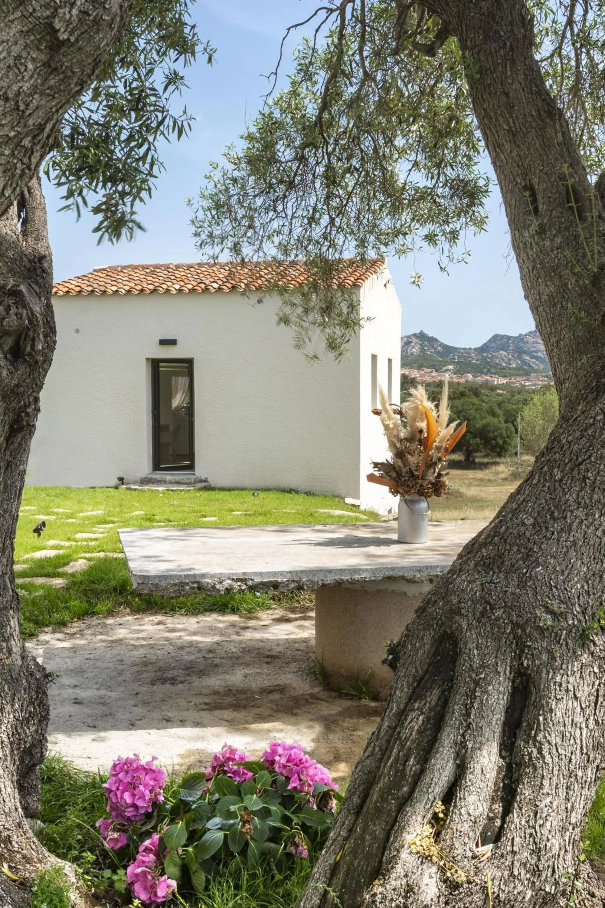 Garden view in Uddastri Retreat