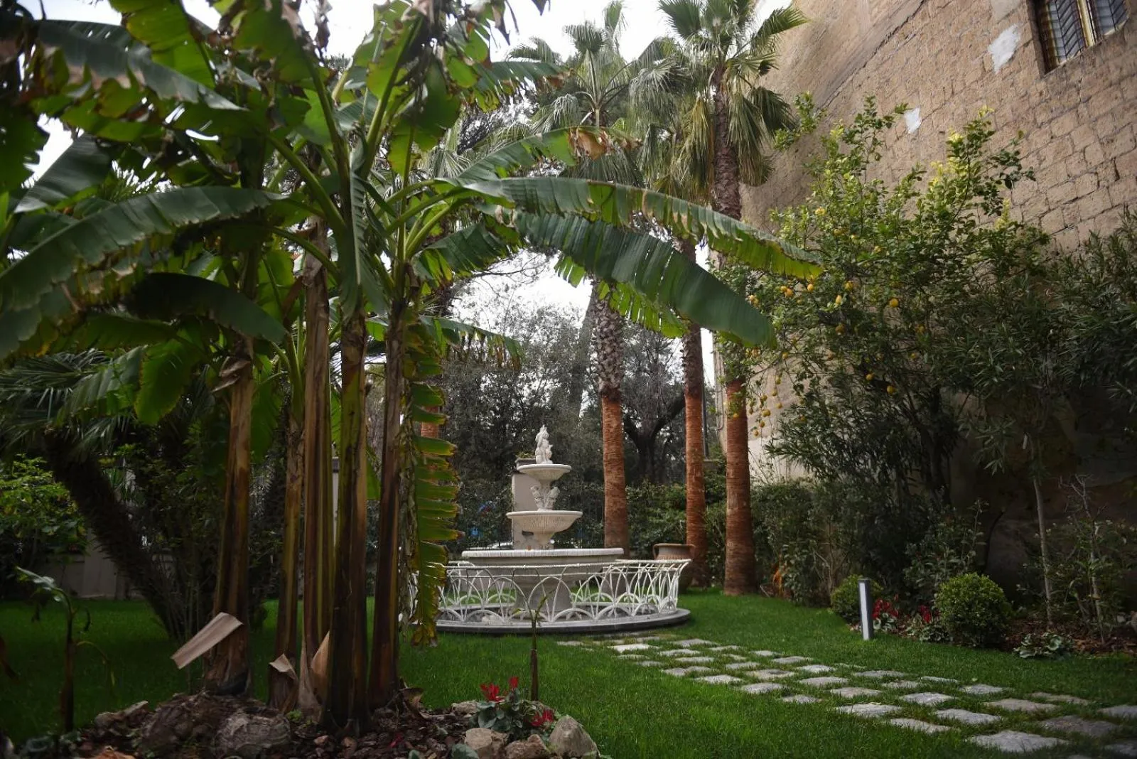 Il giardino delle ninfee