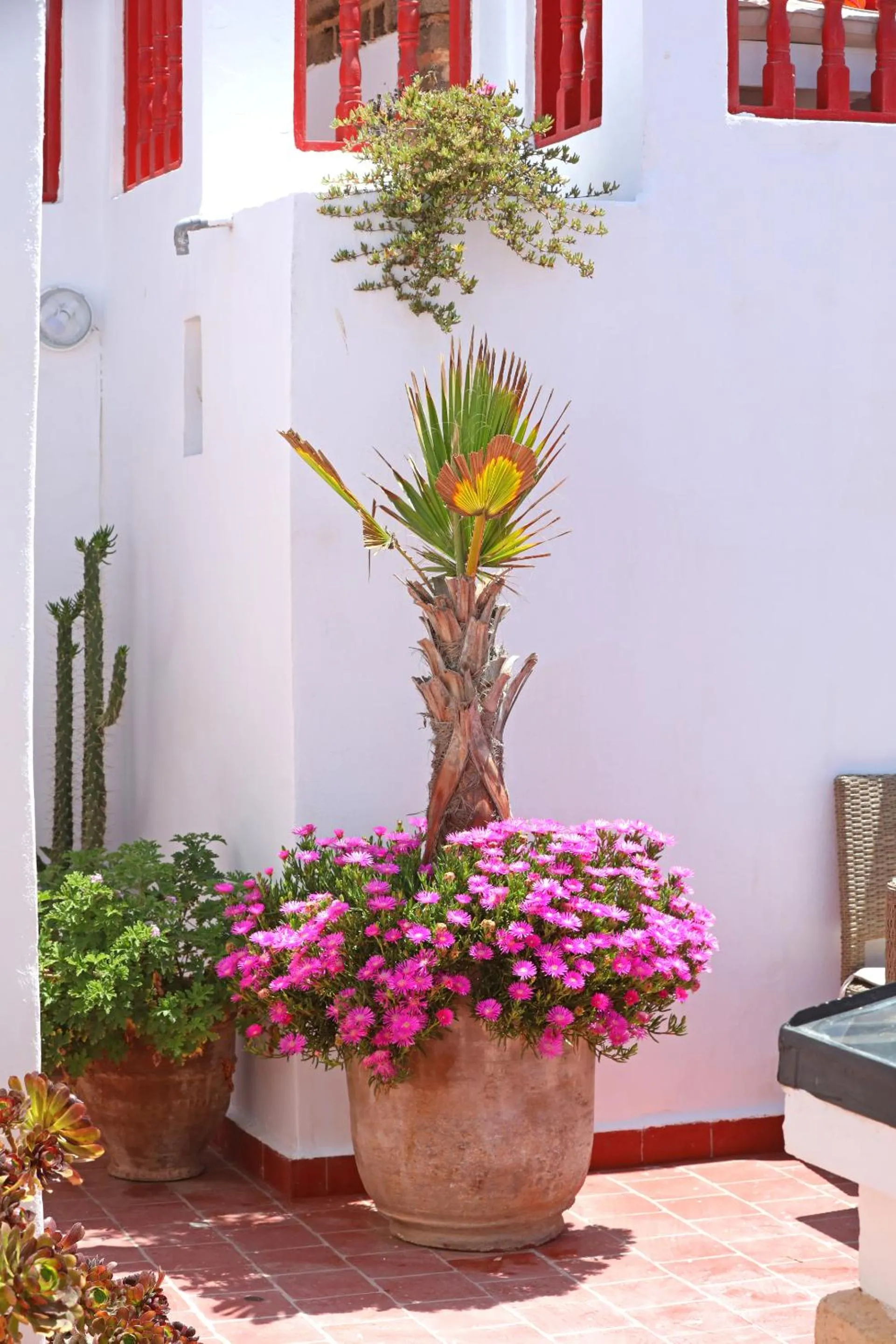 Patio in Riad Villa Garance