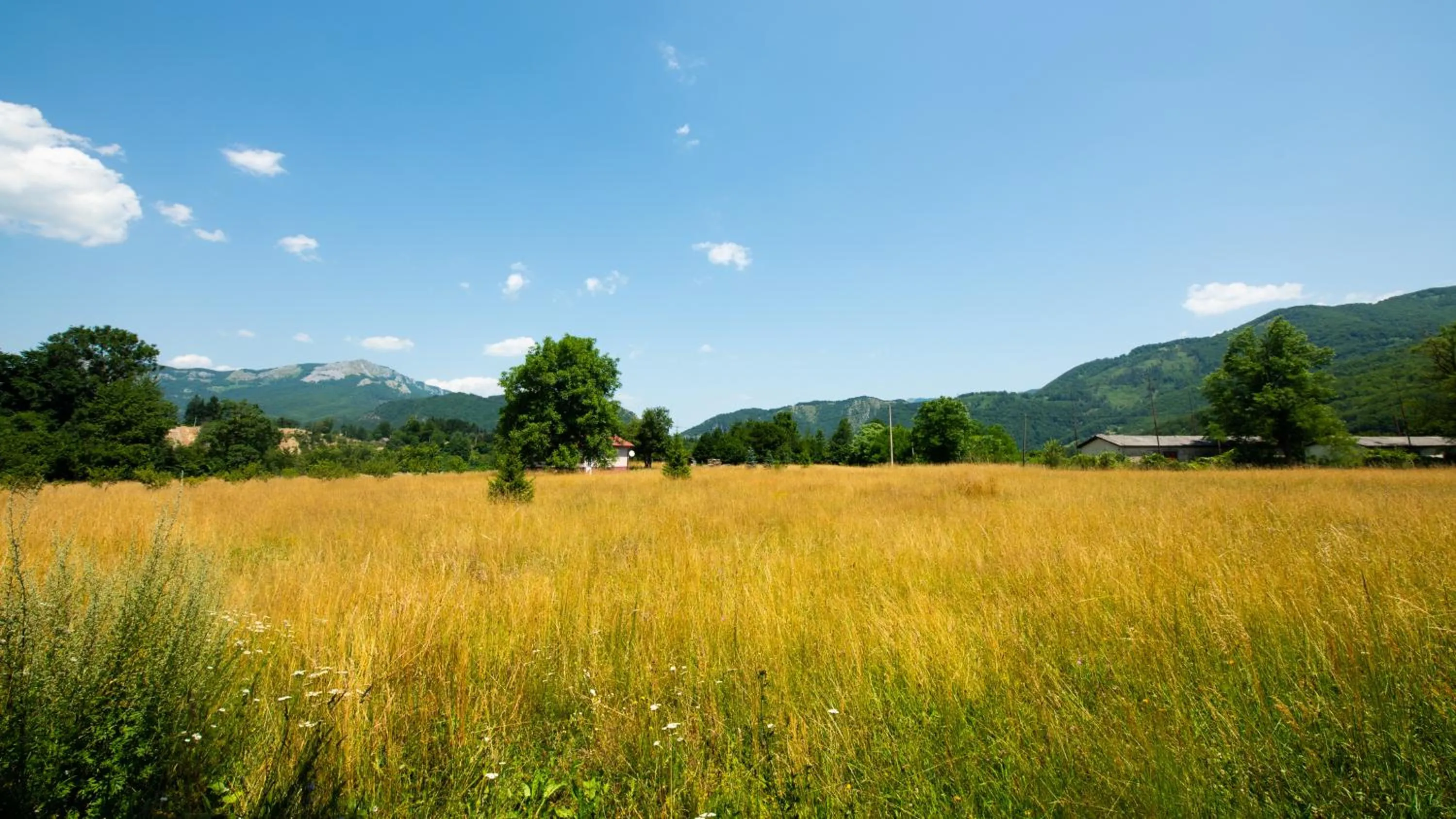 VIP in Pini Apart-hotel