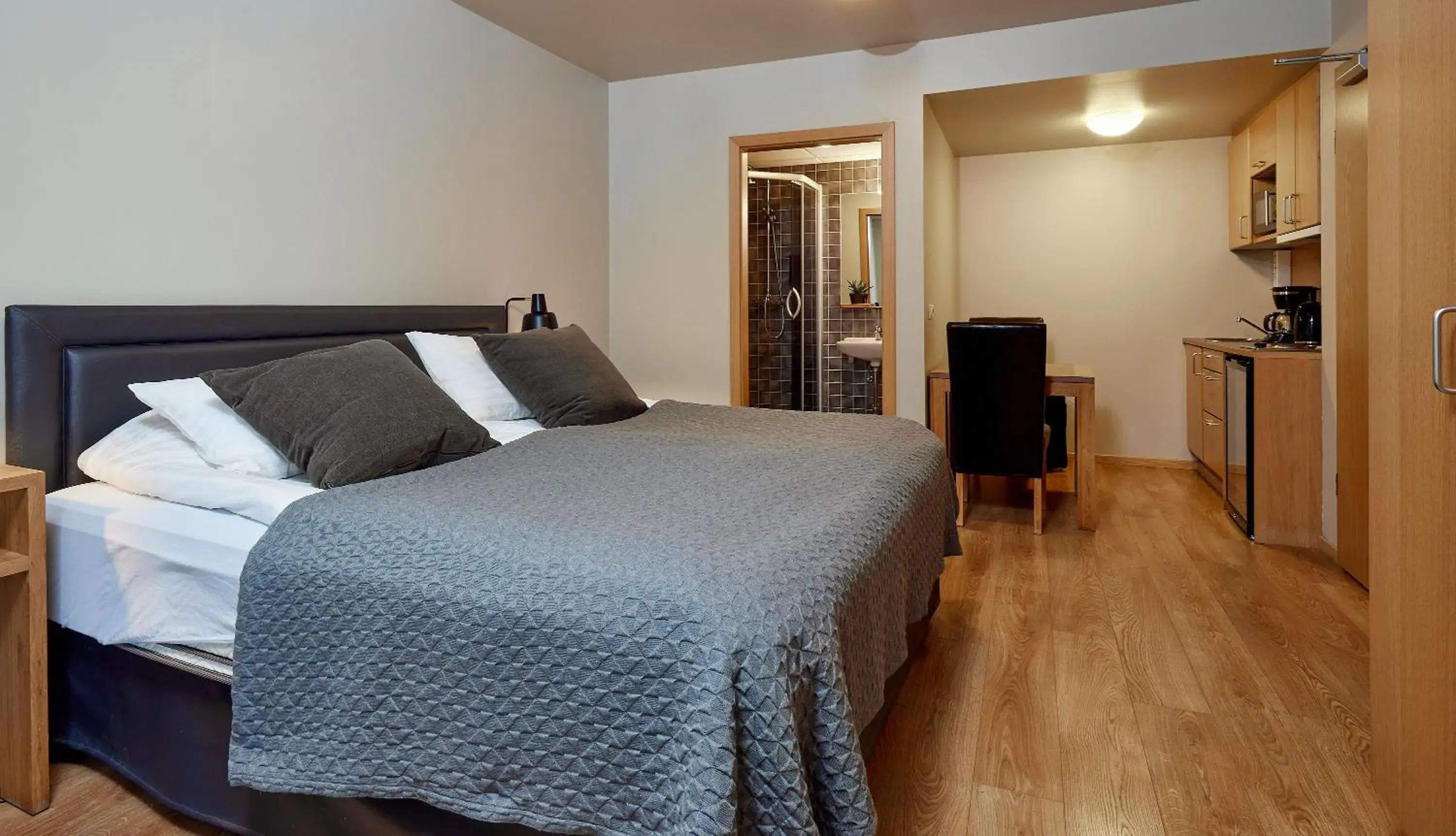 Studio Apartment in Hotel Frón Studio Apartment in Hotel Frón