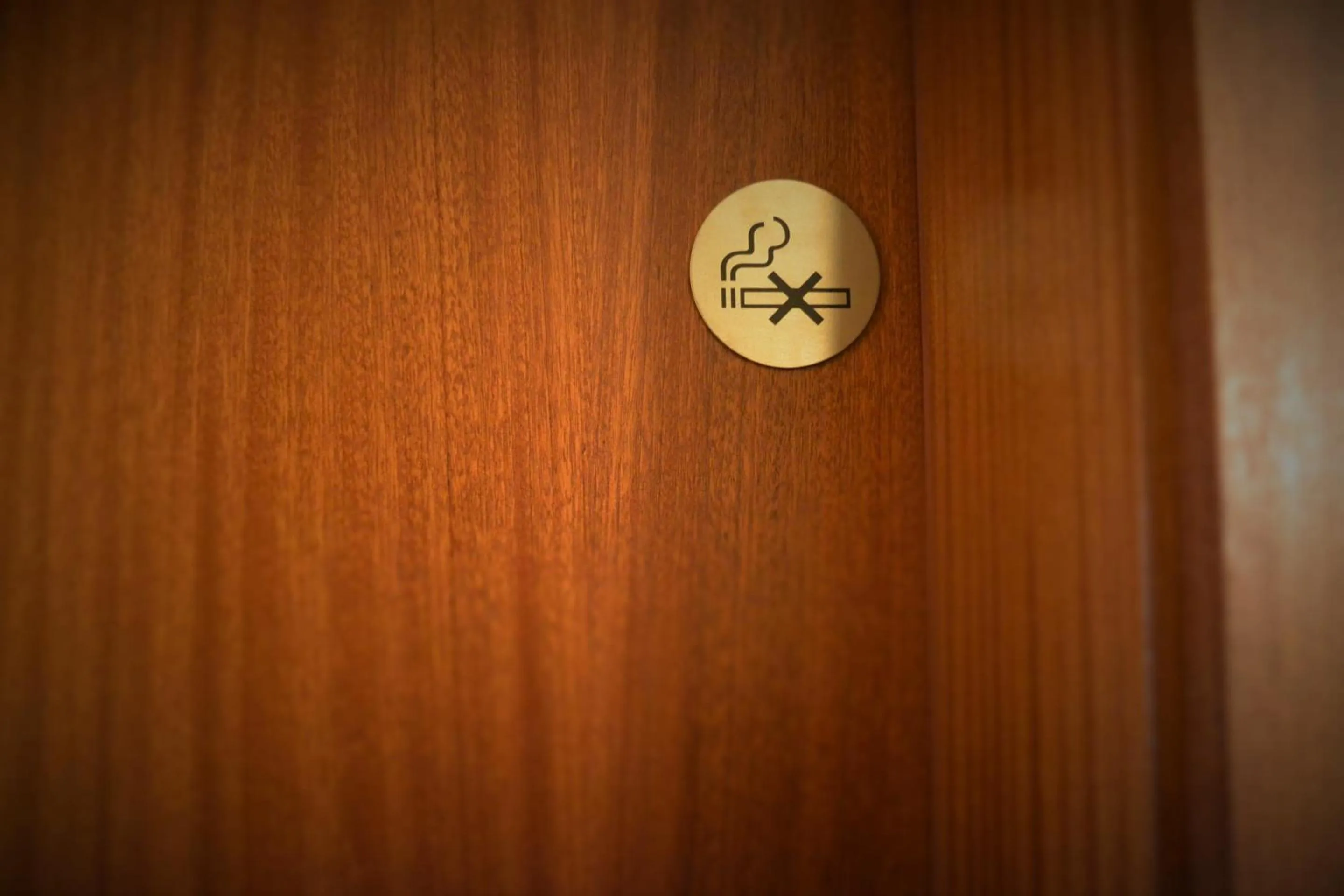 Other in Hotel Hvolsvollur - Central South Iceland