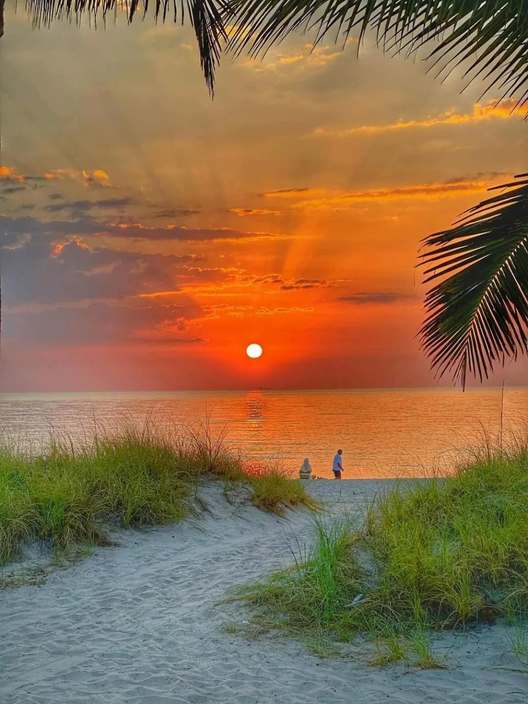Beach in Sky Islands Beach