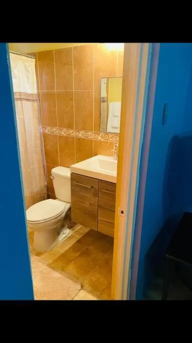 Blissett Apt, Your Jamaican Home