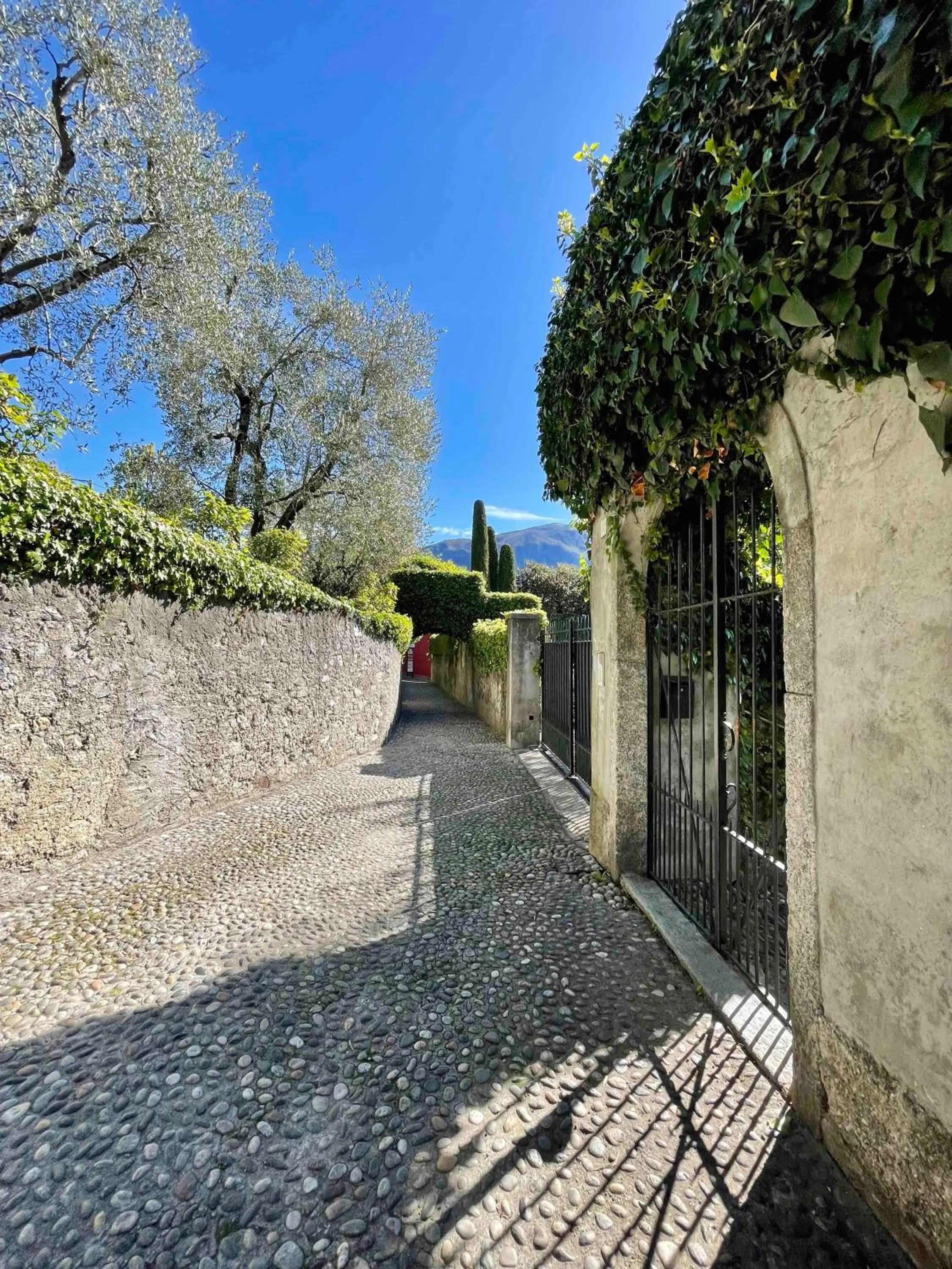 Bellagio Luxury Suites Apartments