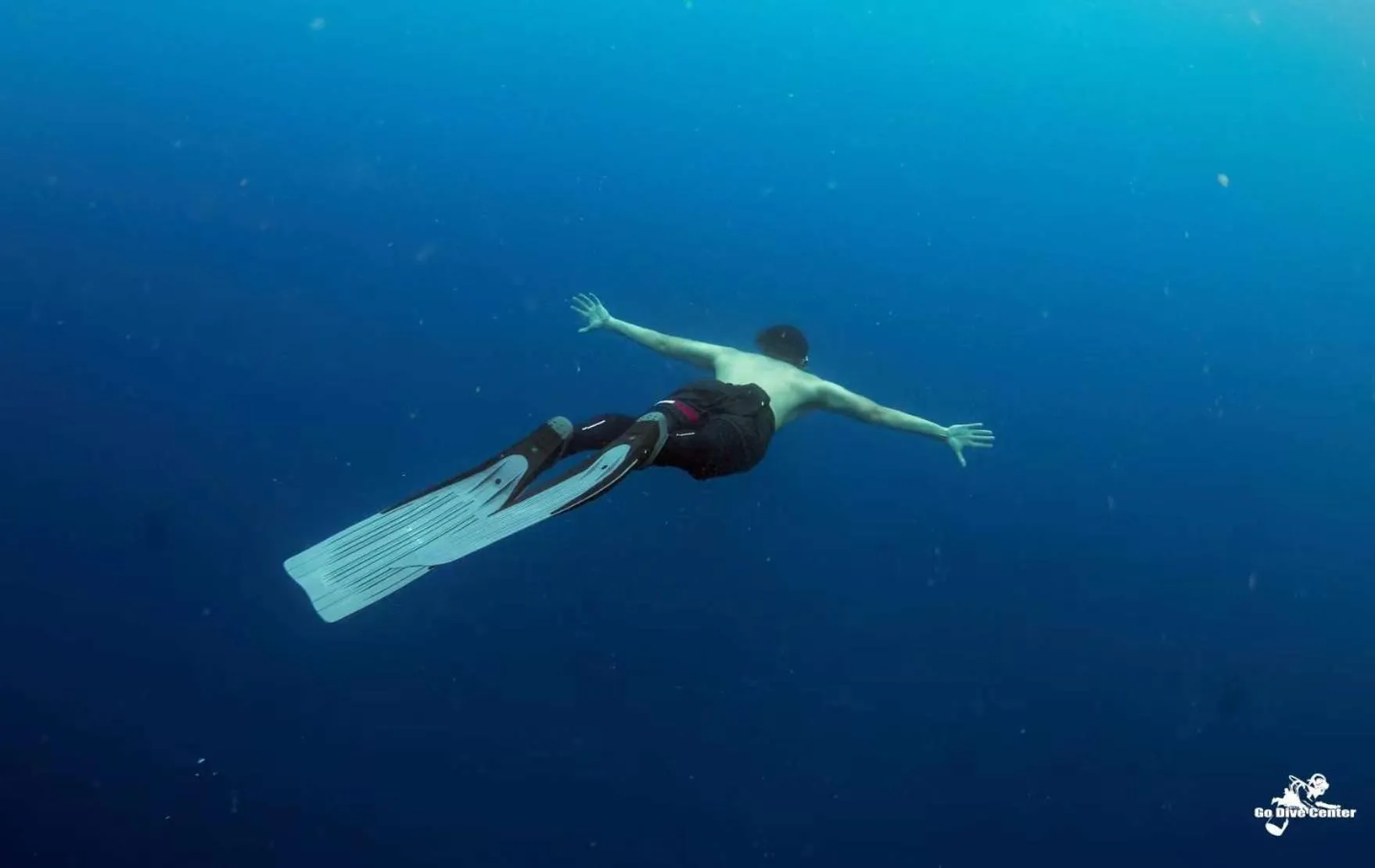 Diving in AA Jungle Guesthouse