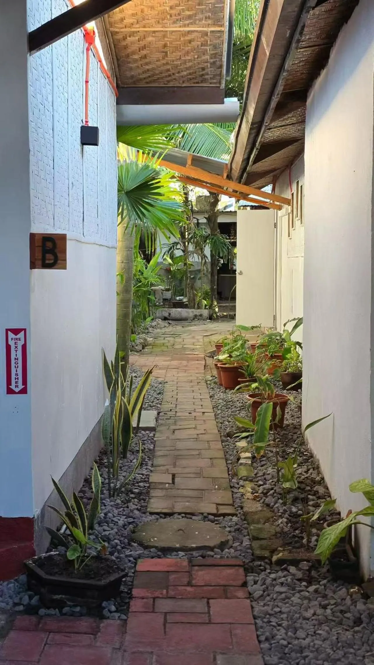 AA Jungle Guesthouse