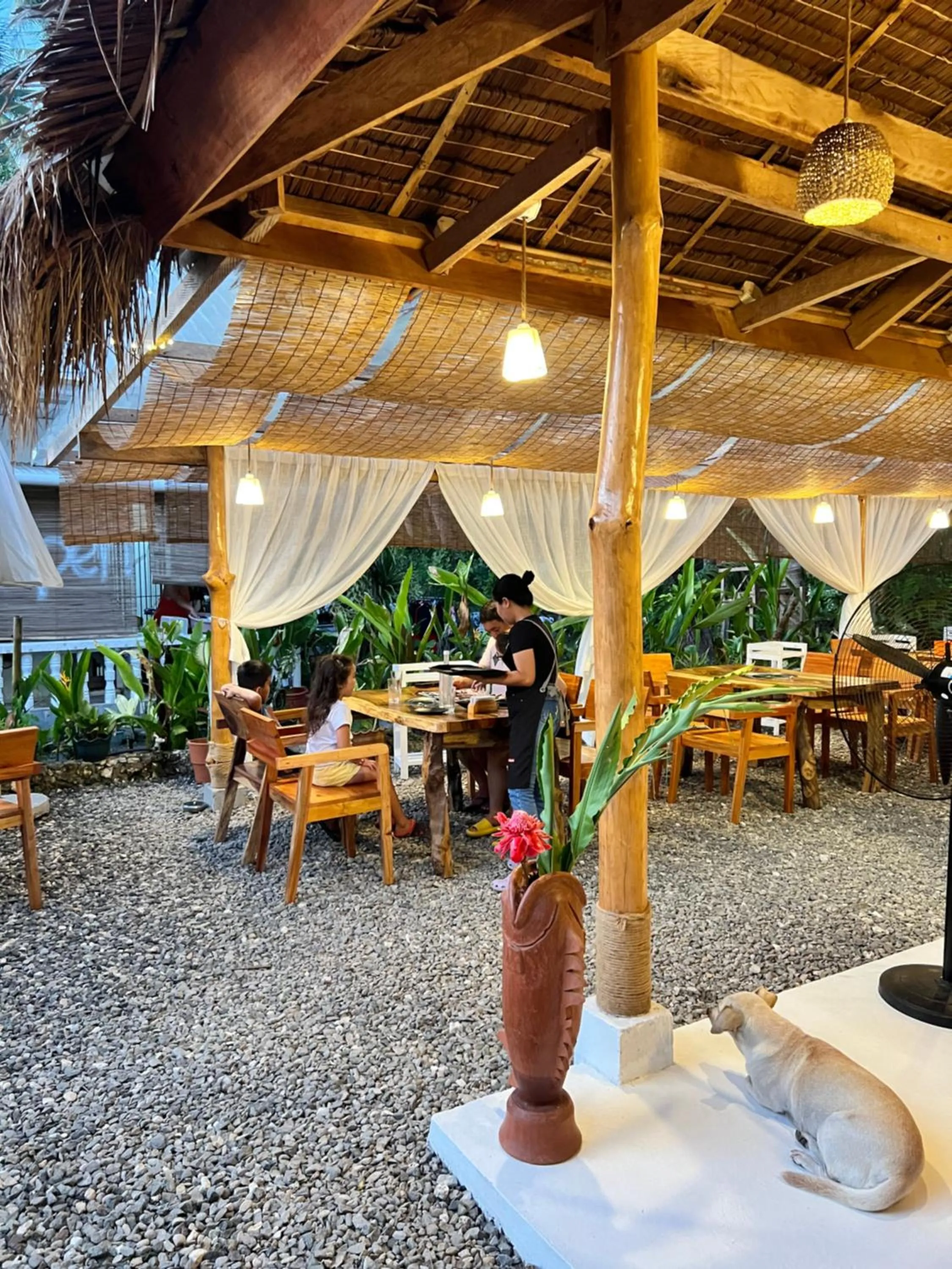 Restaurant/places to eat in AA Jungle Guesthouse