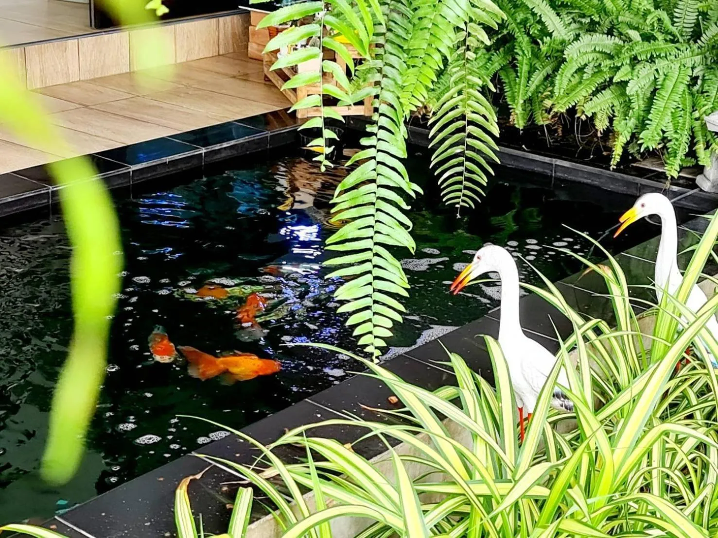 Day in Modern Resort