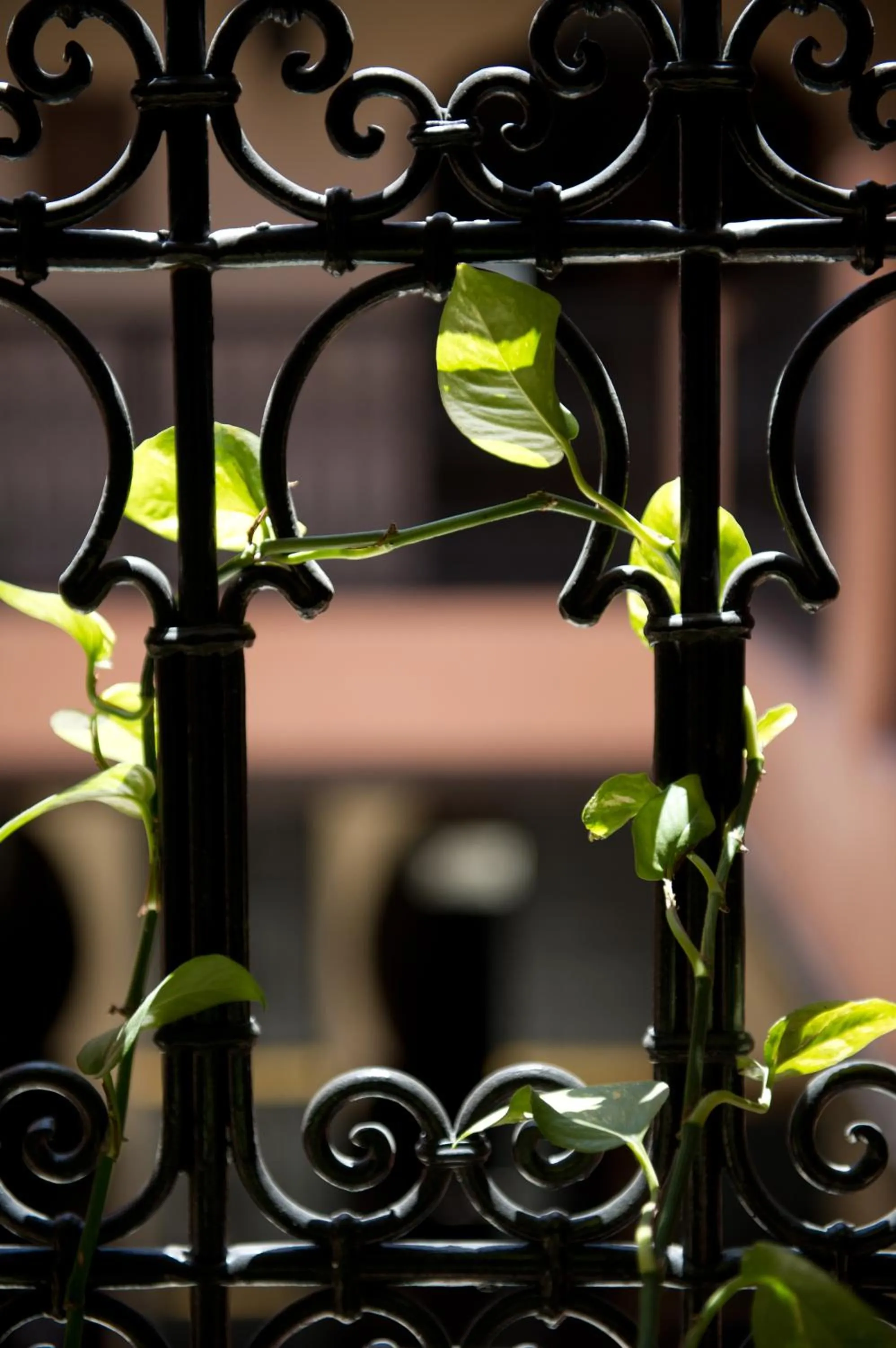 Decorative detail in Riad Yacout