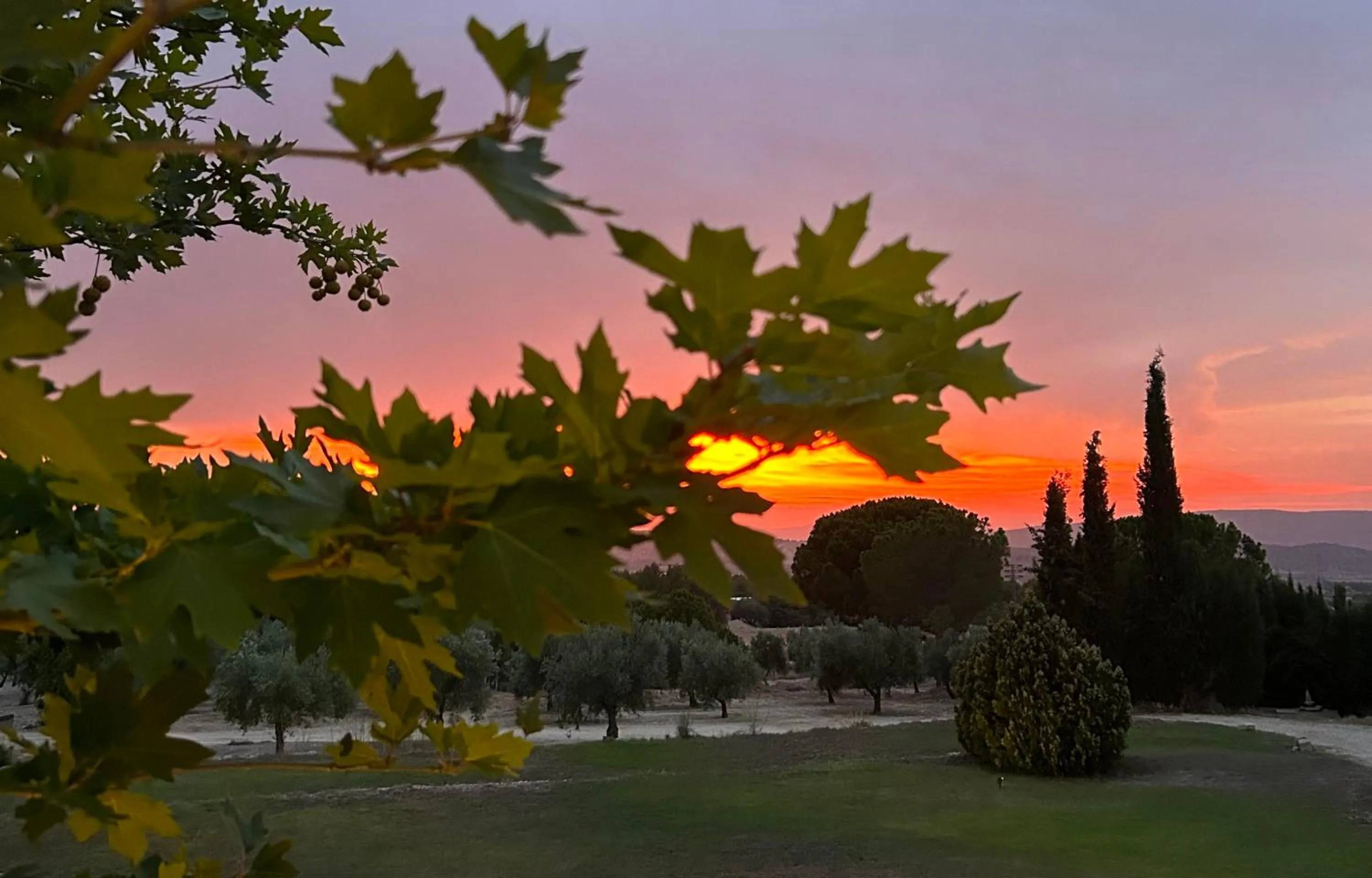 Hotel Rural Castillo de Biar Finca FANECAES
