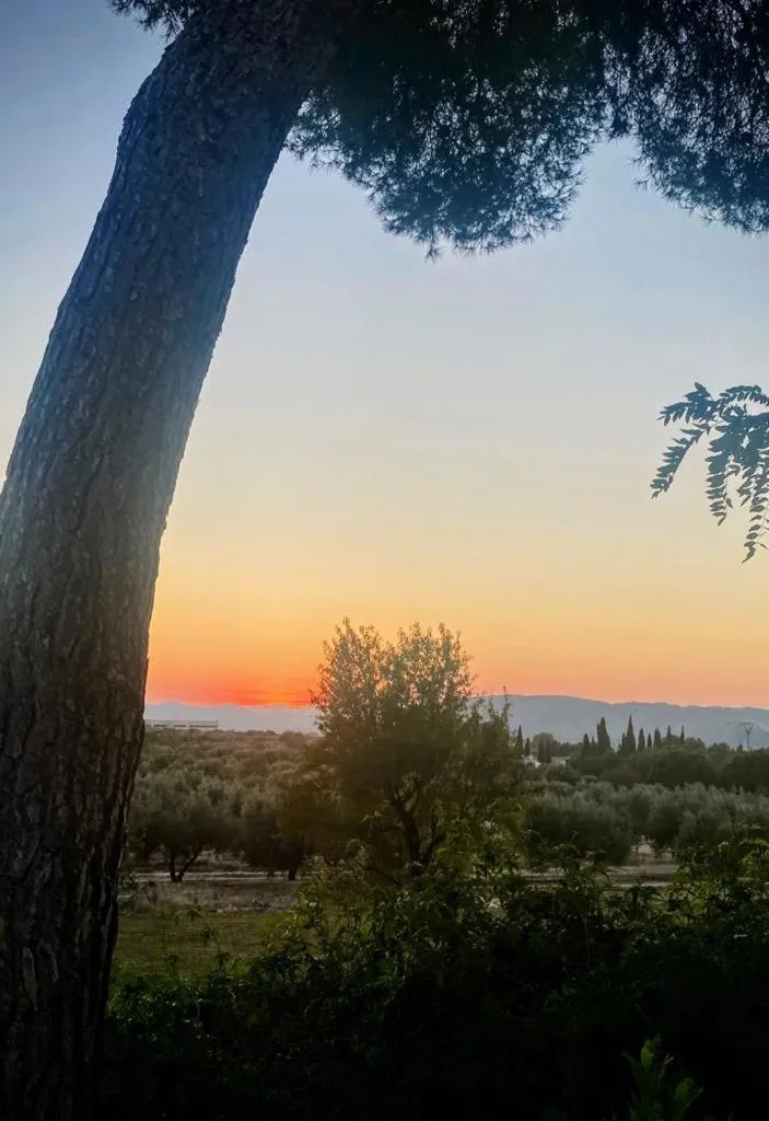 Hotel Rural Castillo de Biar Finca FANECAES