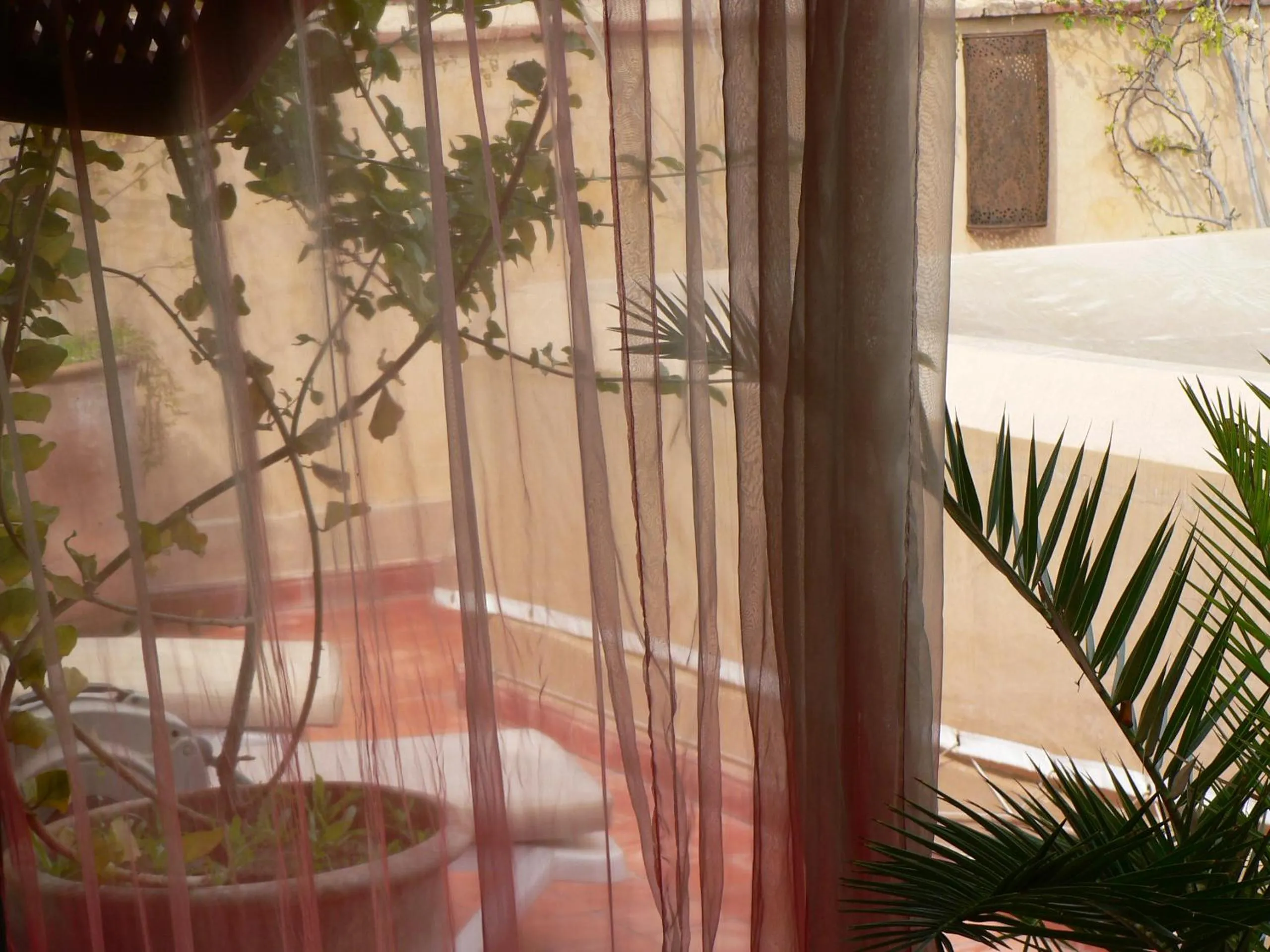 Patio in Riad Dar Zaya