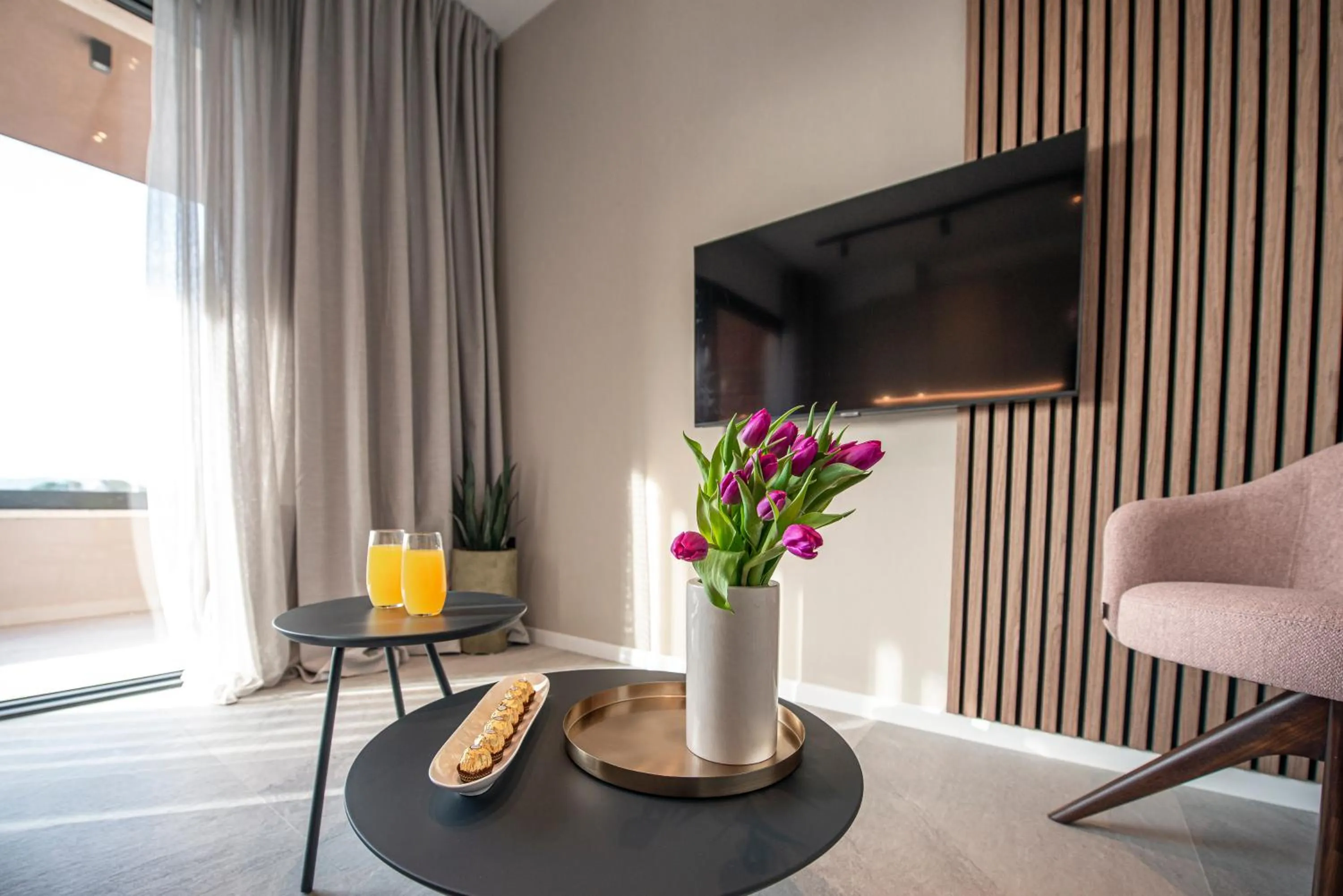 TV and multimedia in "Villa AnMari" The Cavtat View Residence