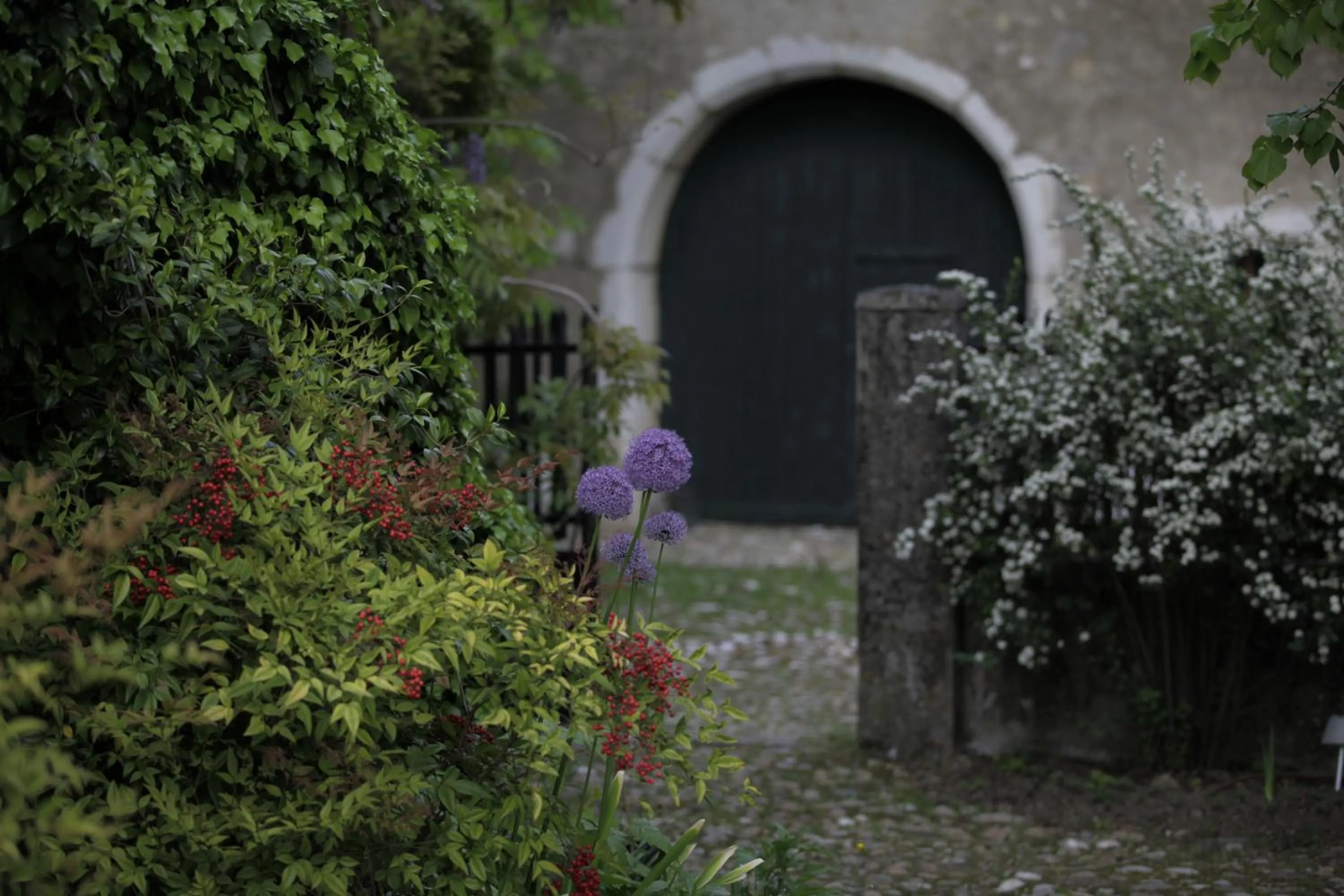 Spring in Sessius1622