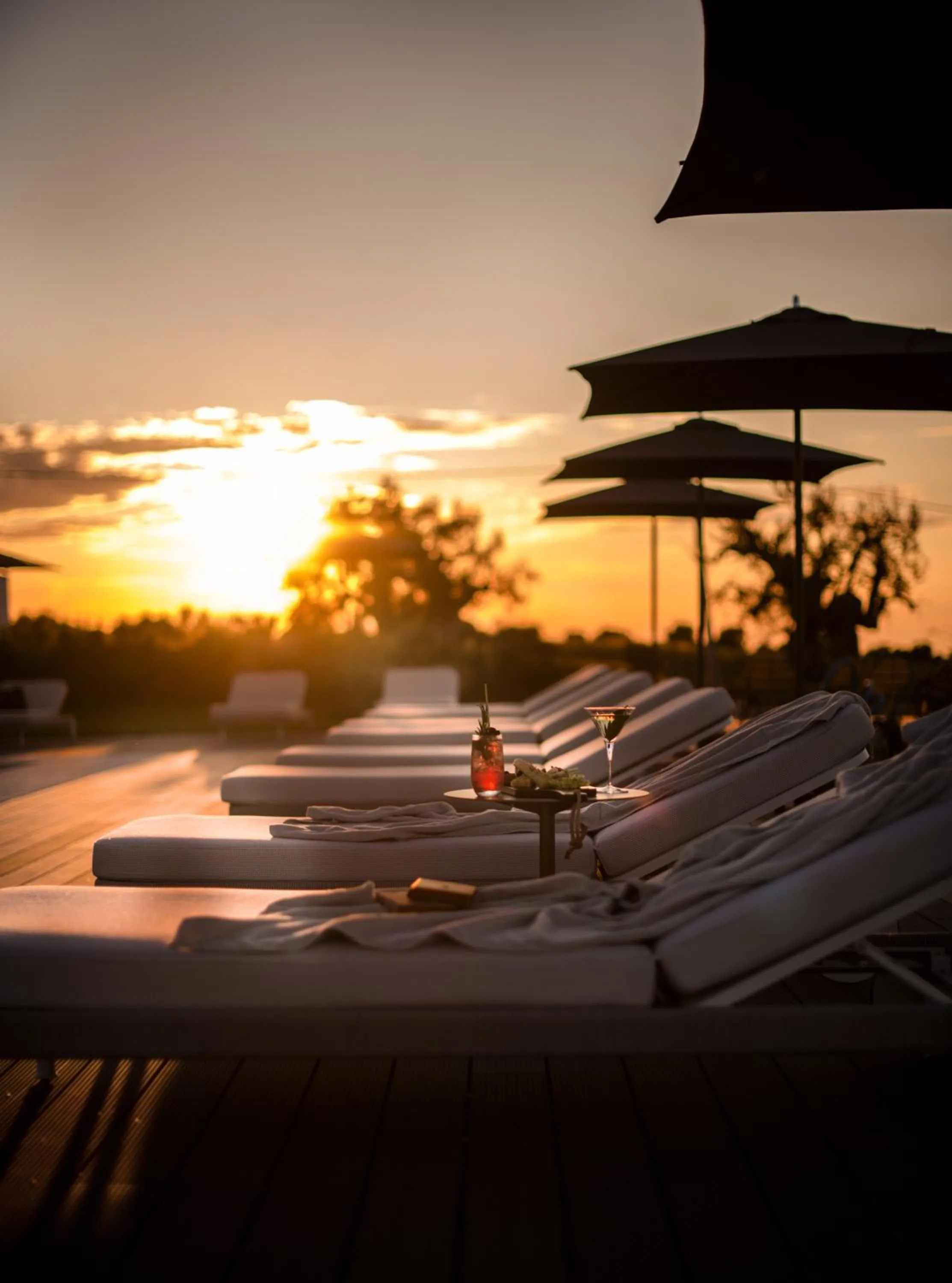 Natural landscape in Masseria Auraterrae