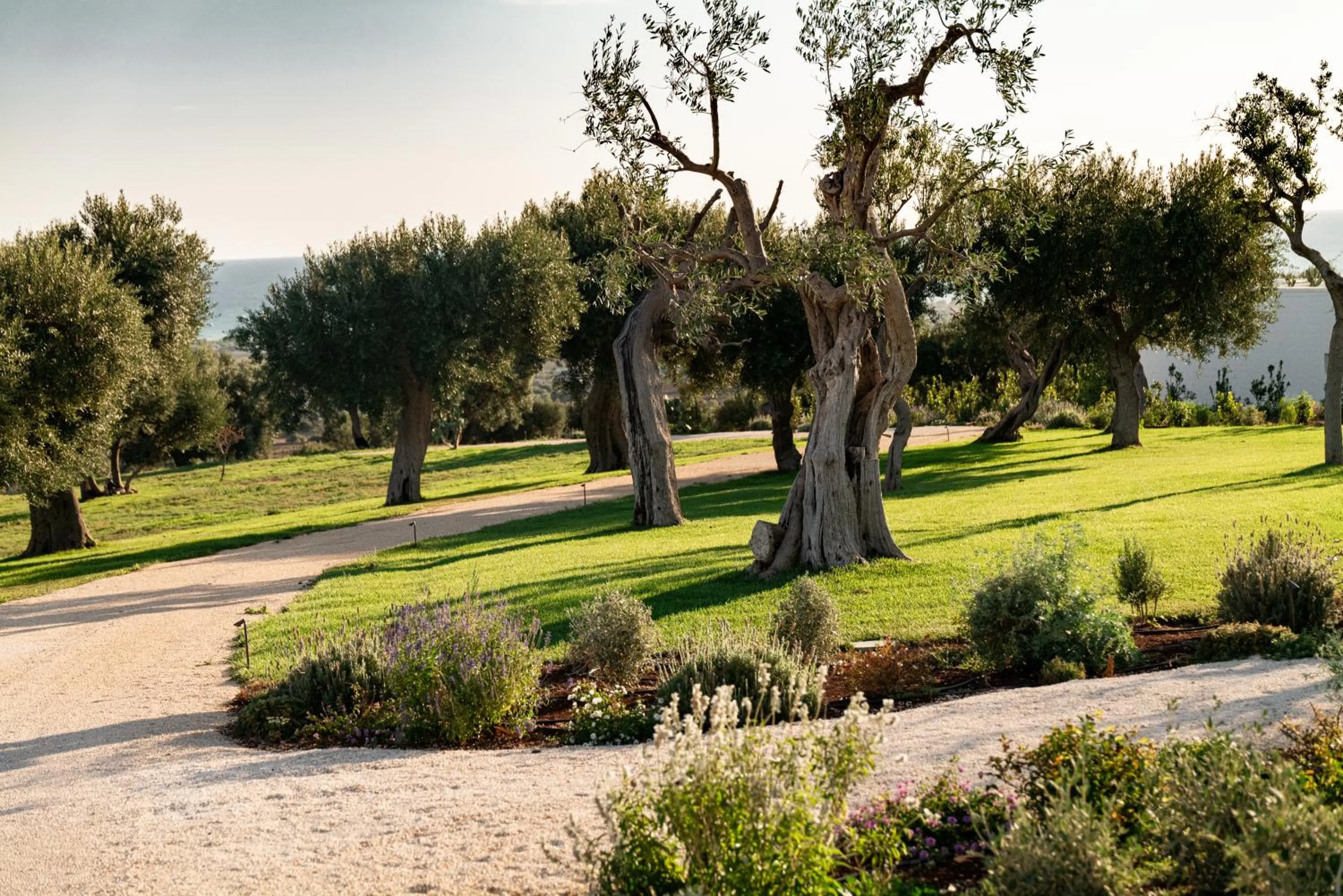 Natural landscape in Masseria Auraterrae
