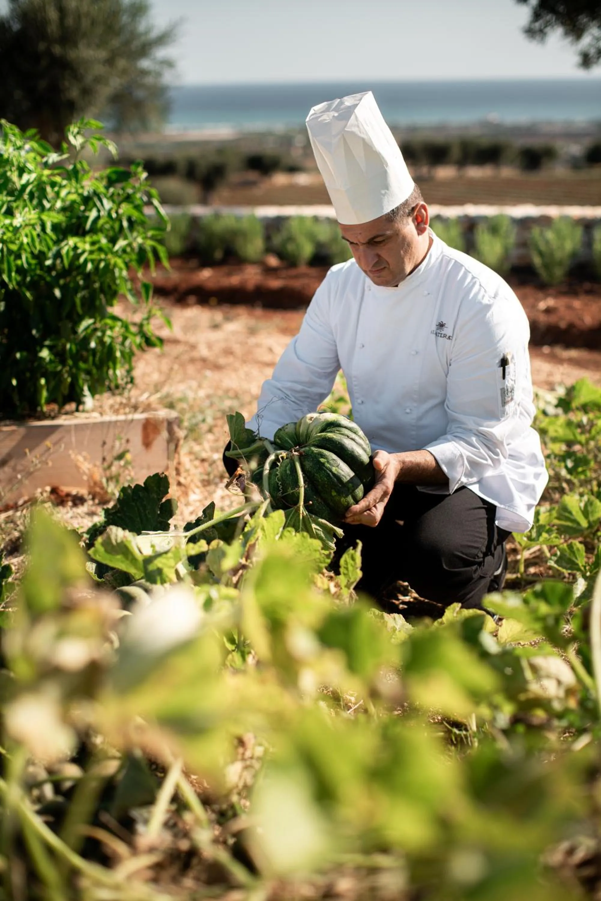 Day in Masseria Auraterrae