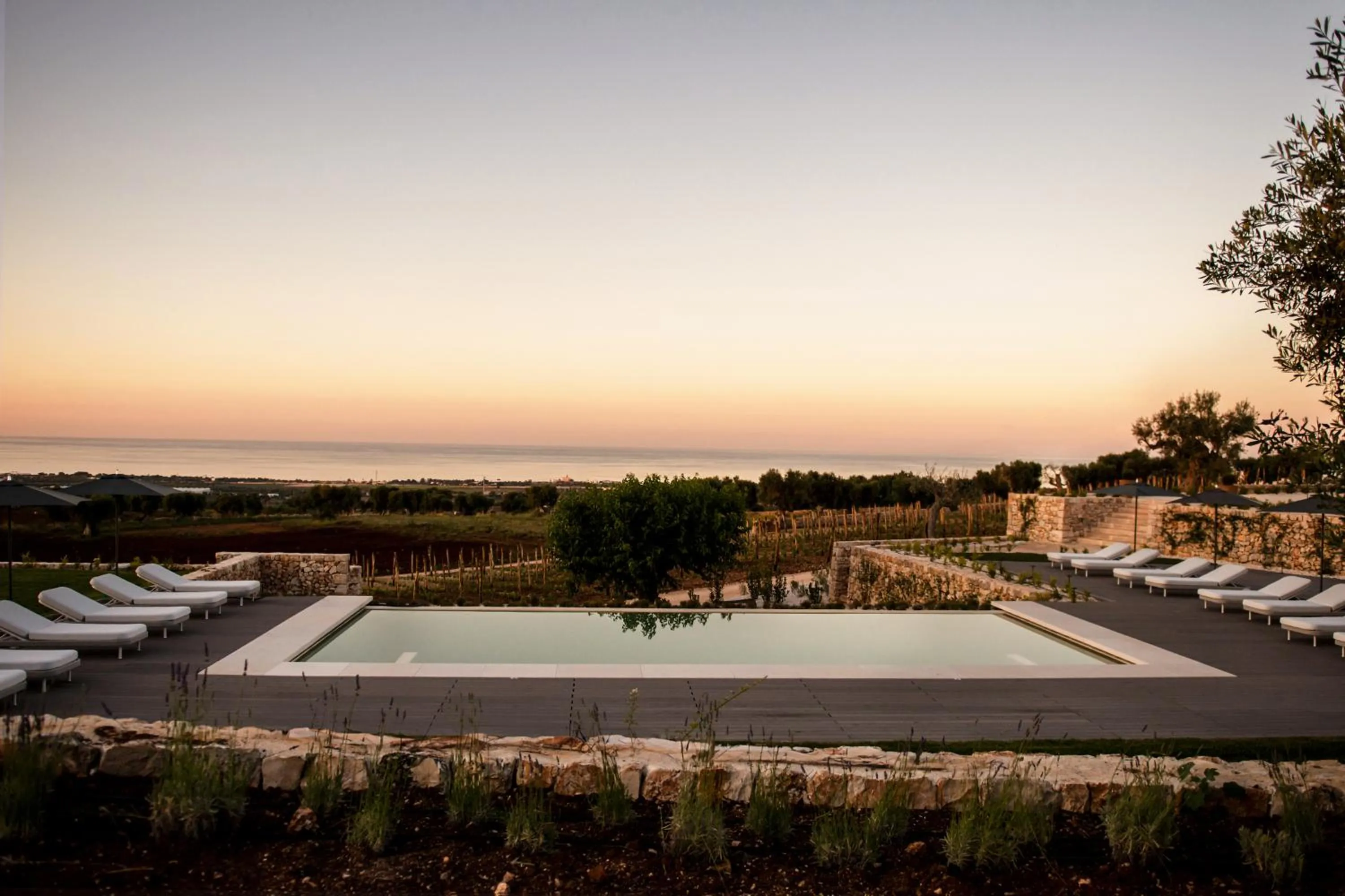 Pool view in Masseria Auraterrae