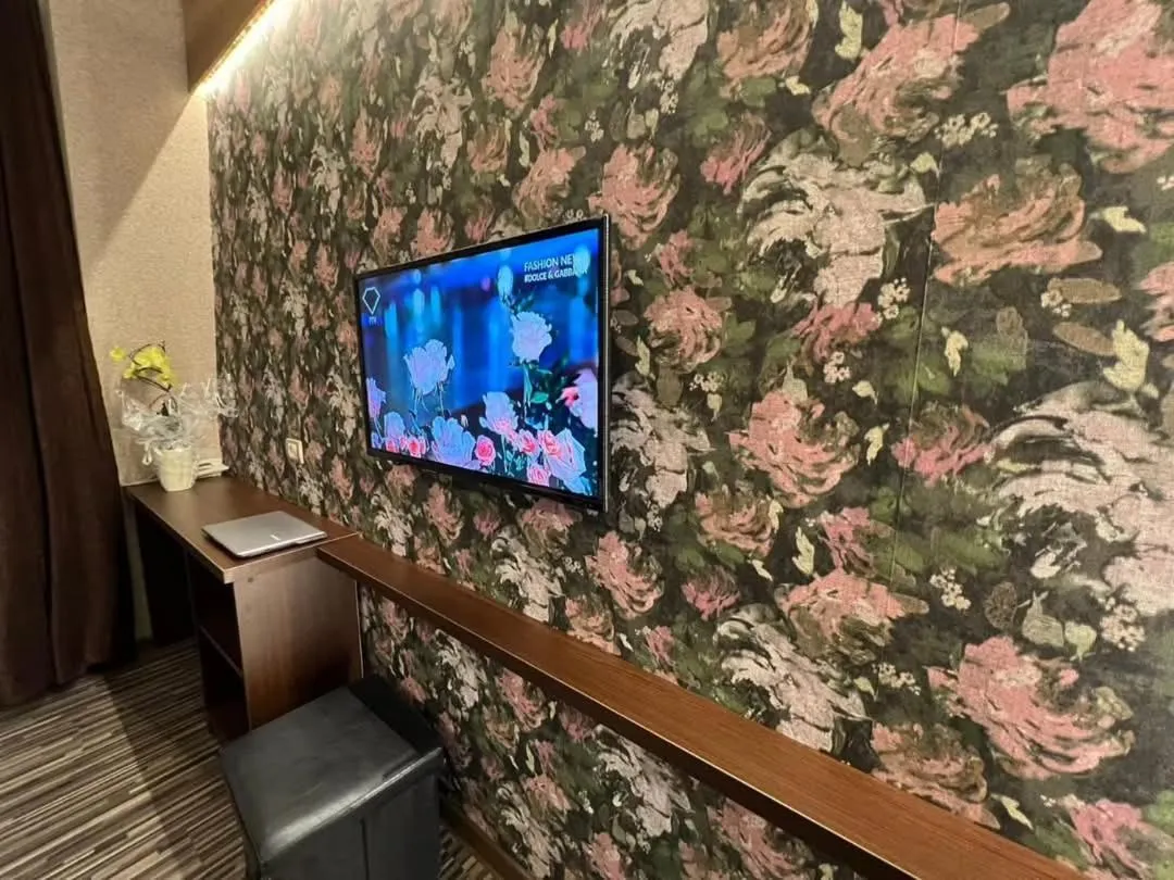 TV and multimedia in Hotel Petrus