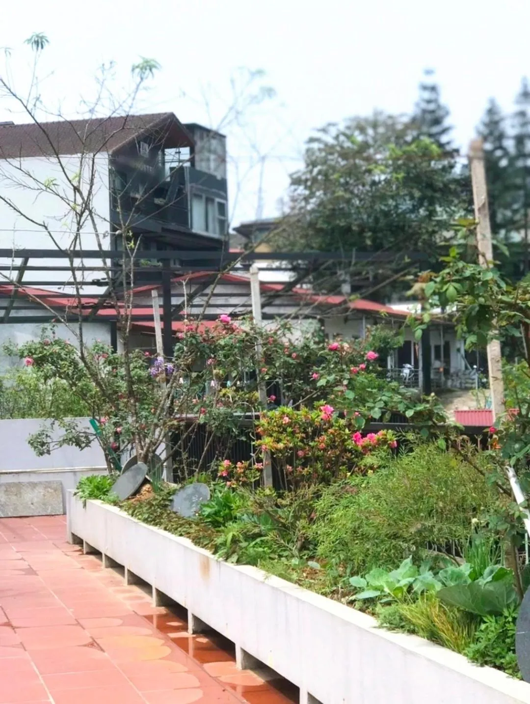 Apricot Garden Hotel Sapa