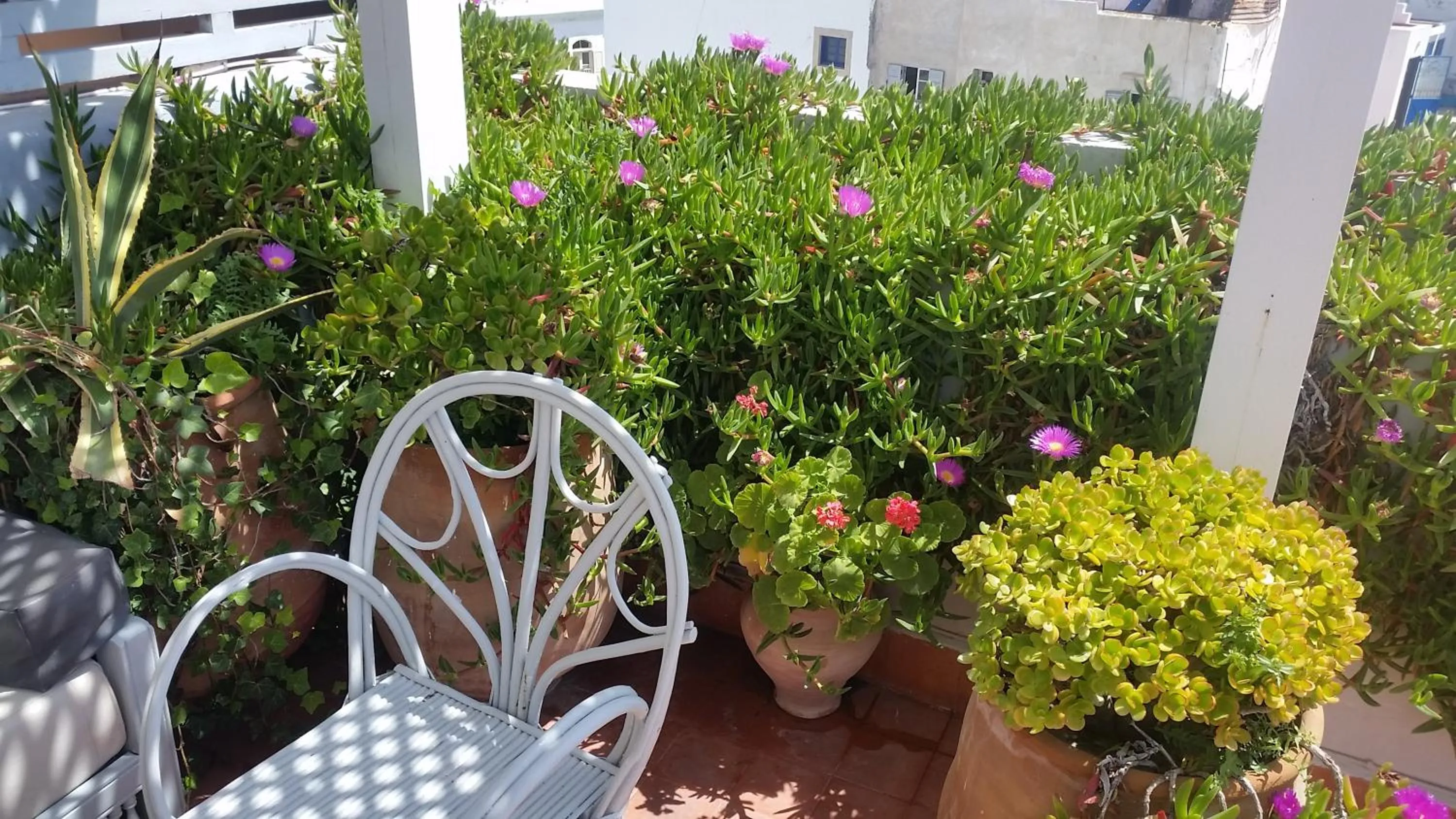 Balcony/Terrace in Riad Al Zahia