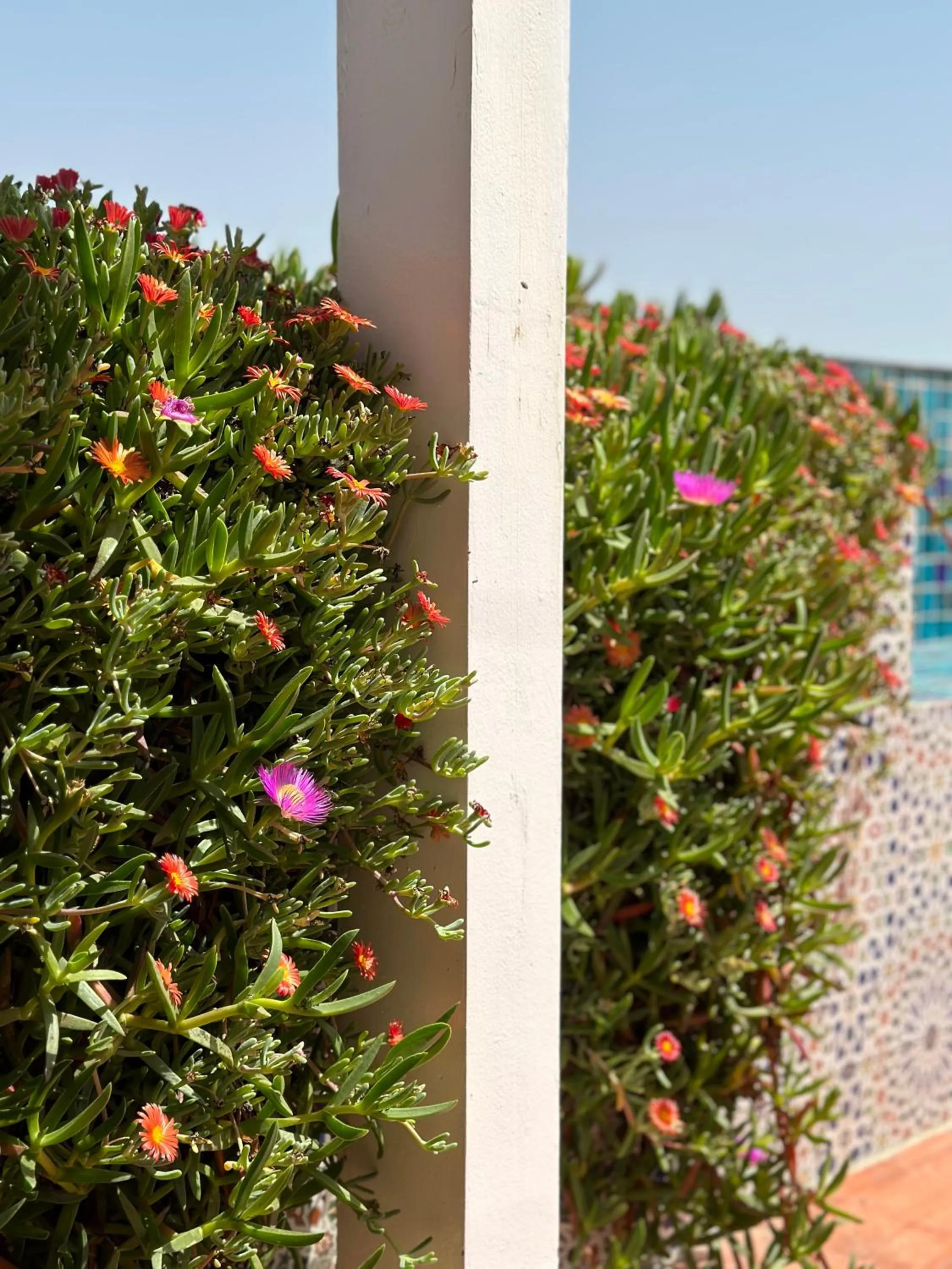 Off site in Riad Al Zahia