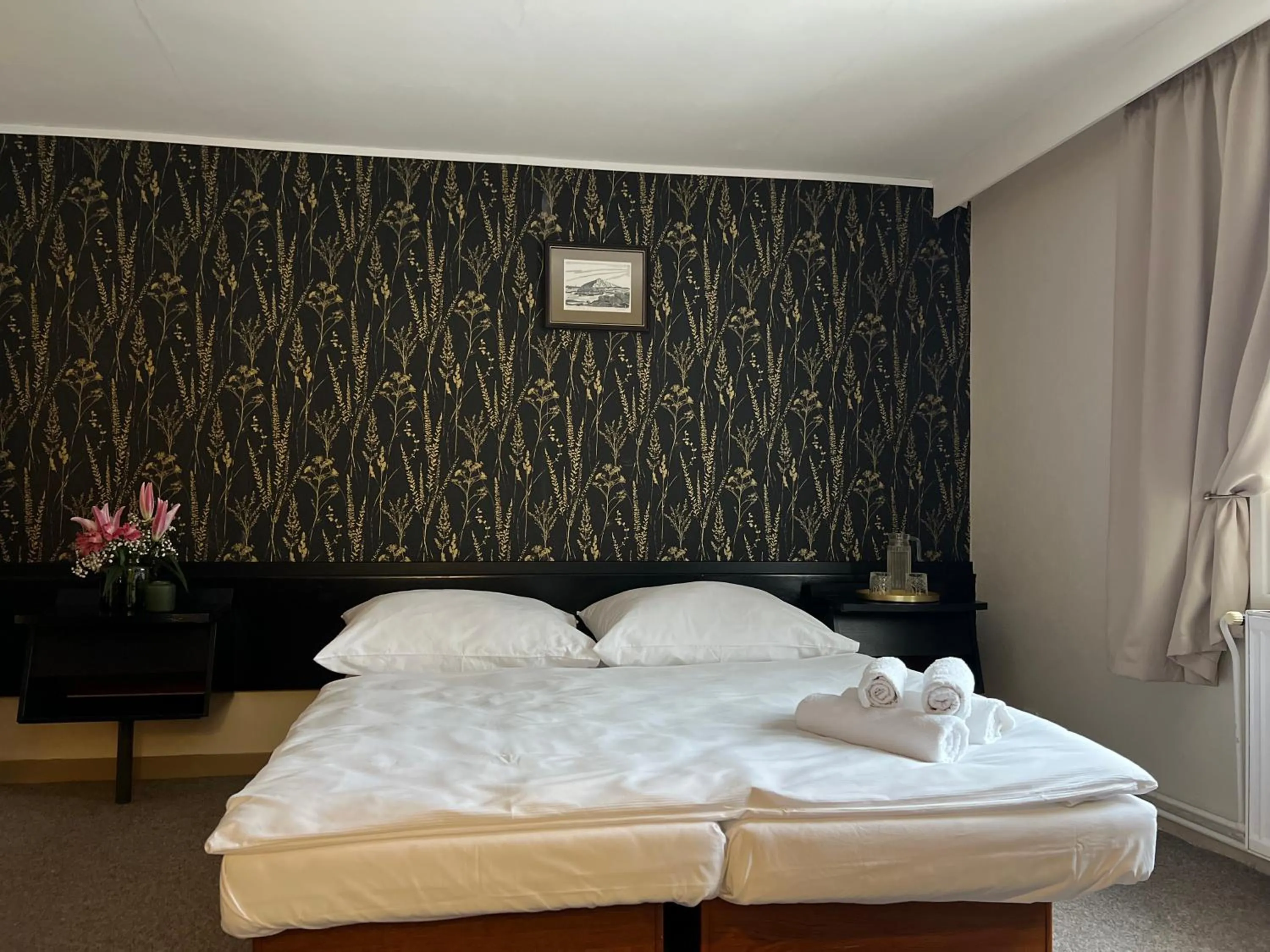 Property building, Bed in Hotel Lomnice