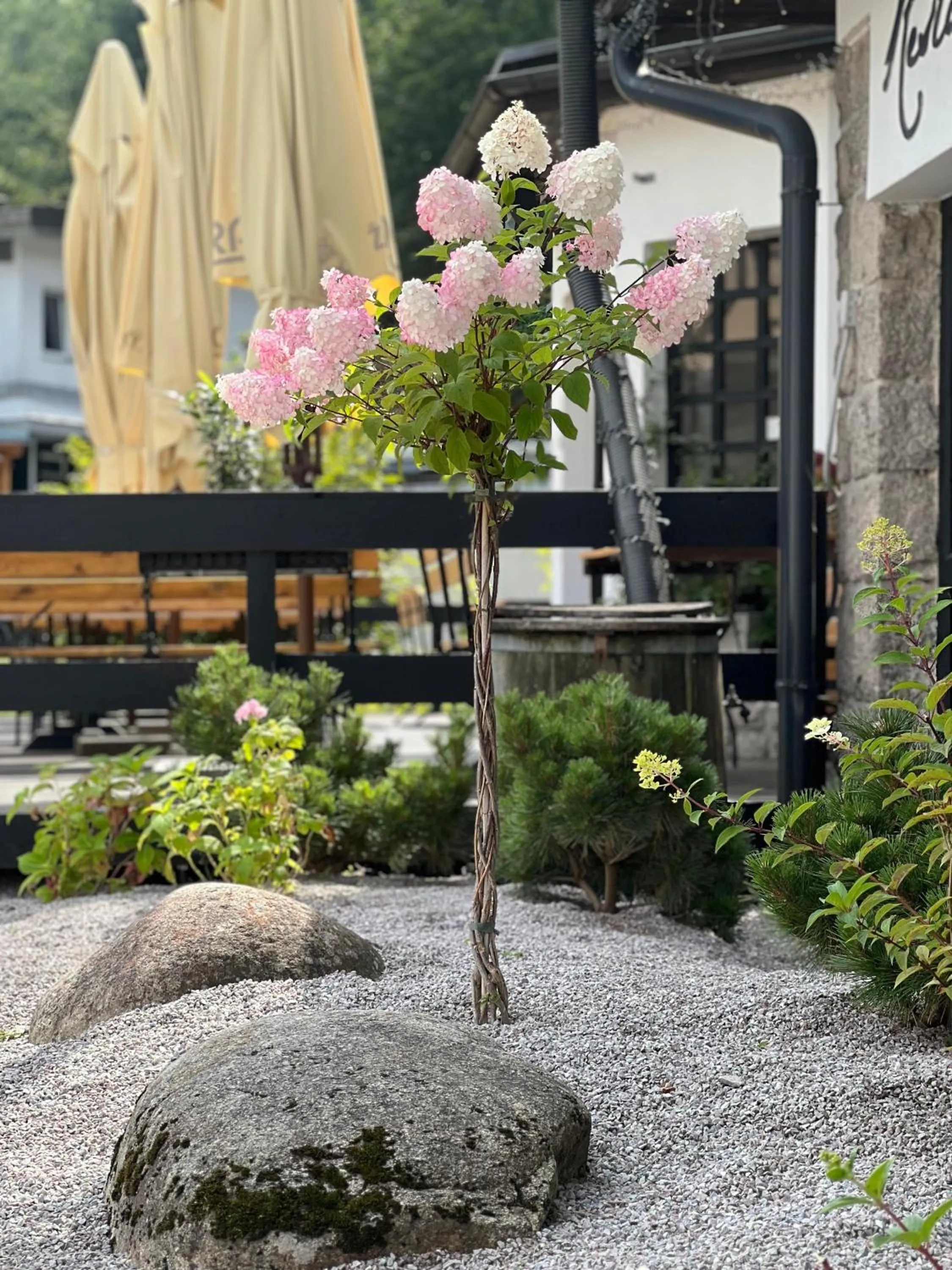 Property building in Hotel Lomnice