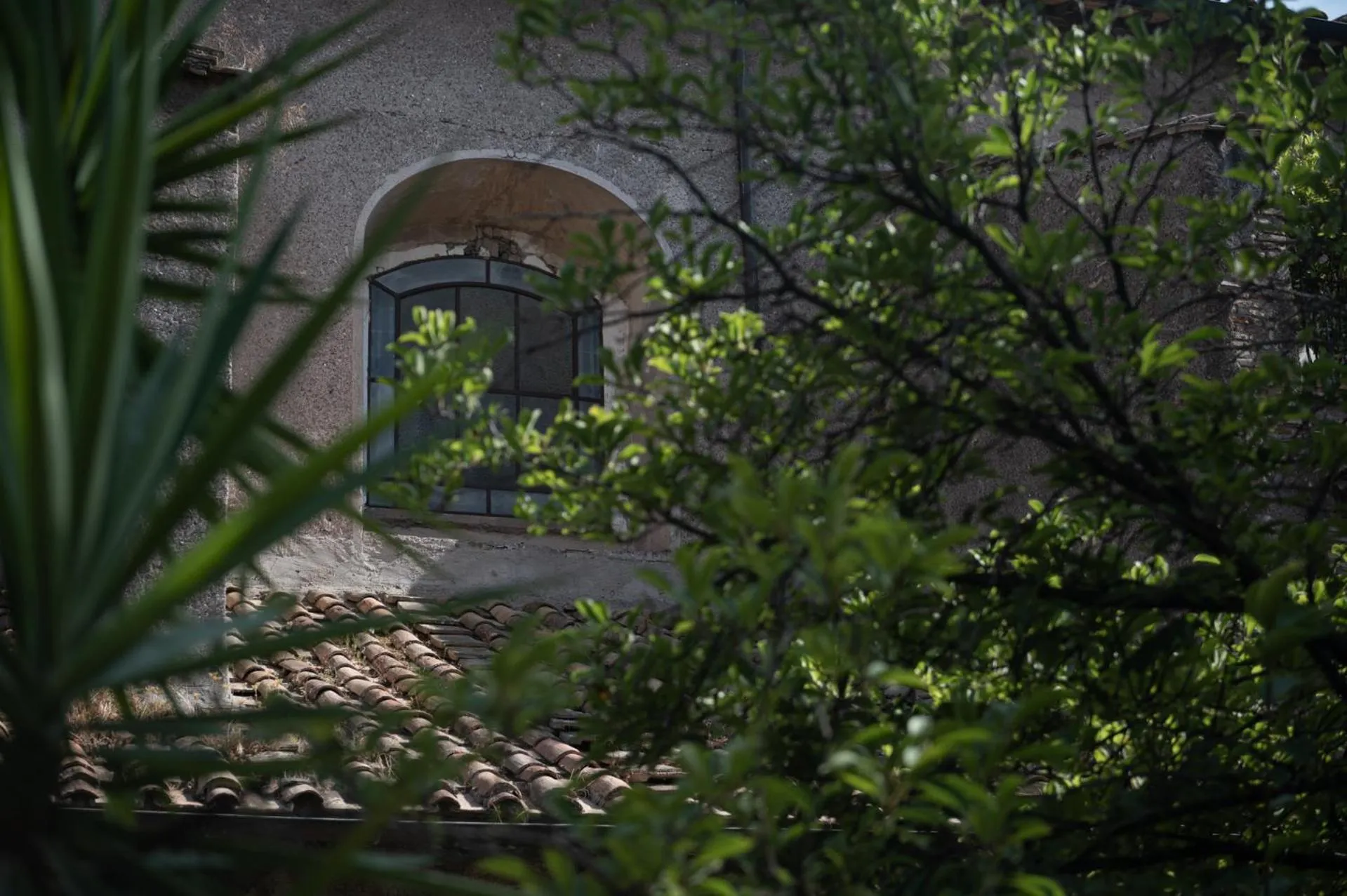 Inner courtyard view in The Sanctuary Urban Retreat