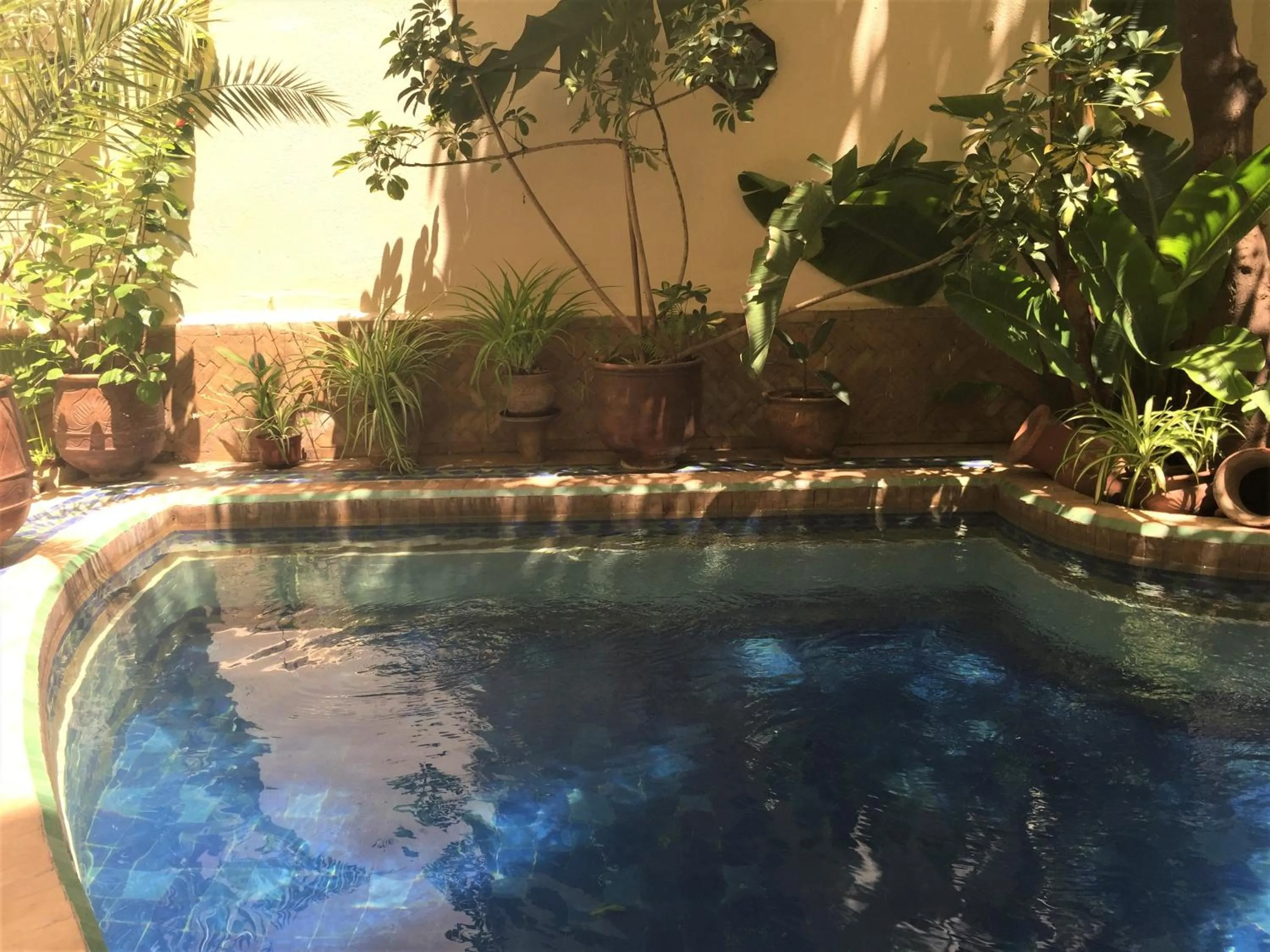 Swimming pool in Riad La Clé De Fès