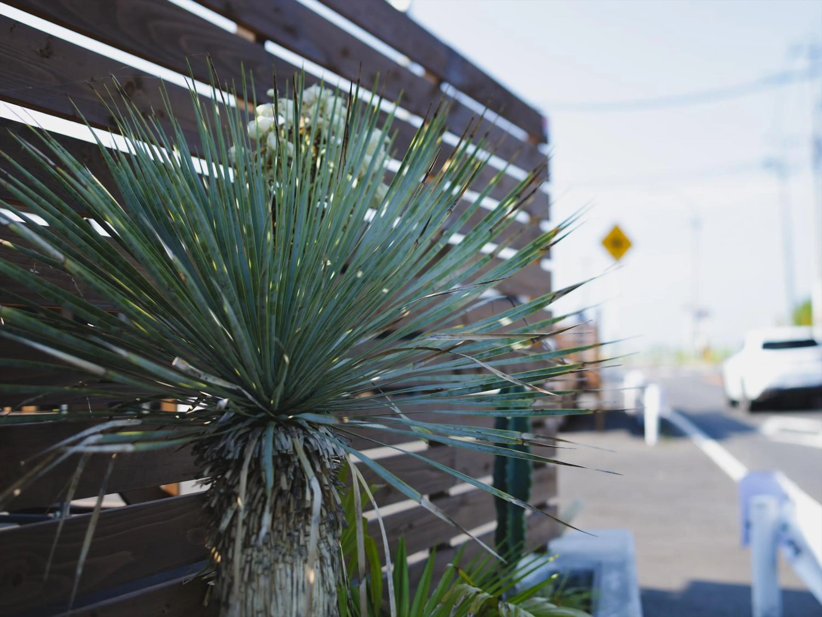 Property building in Seage Torami Coastside