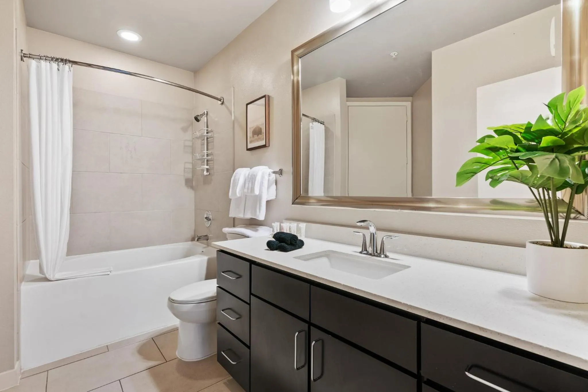 Shower in Lodgeur Med Center, Houston - close to MD Anderson & other hospitals