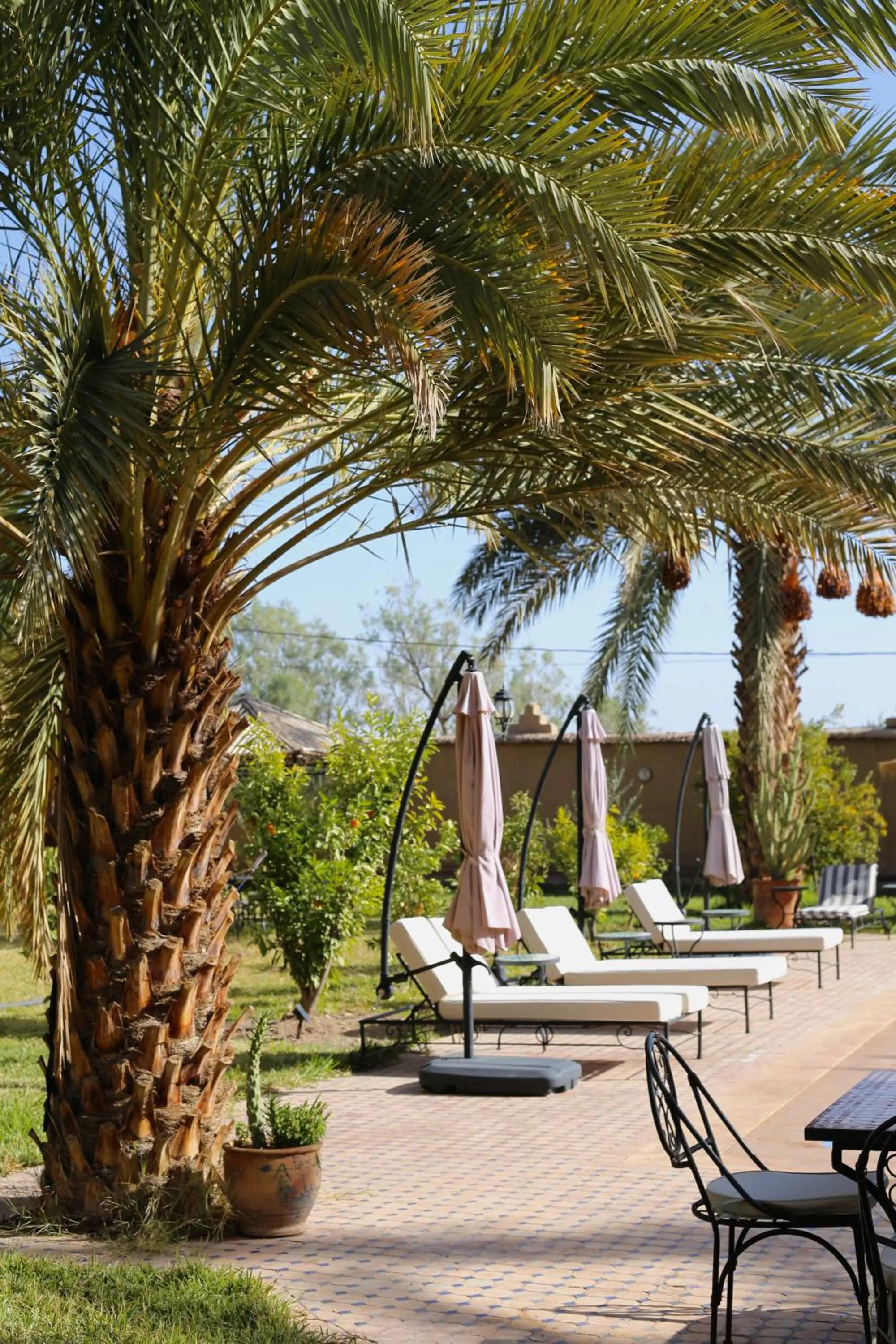 Swimming pool in Kasbah des cyprès