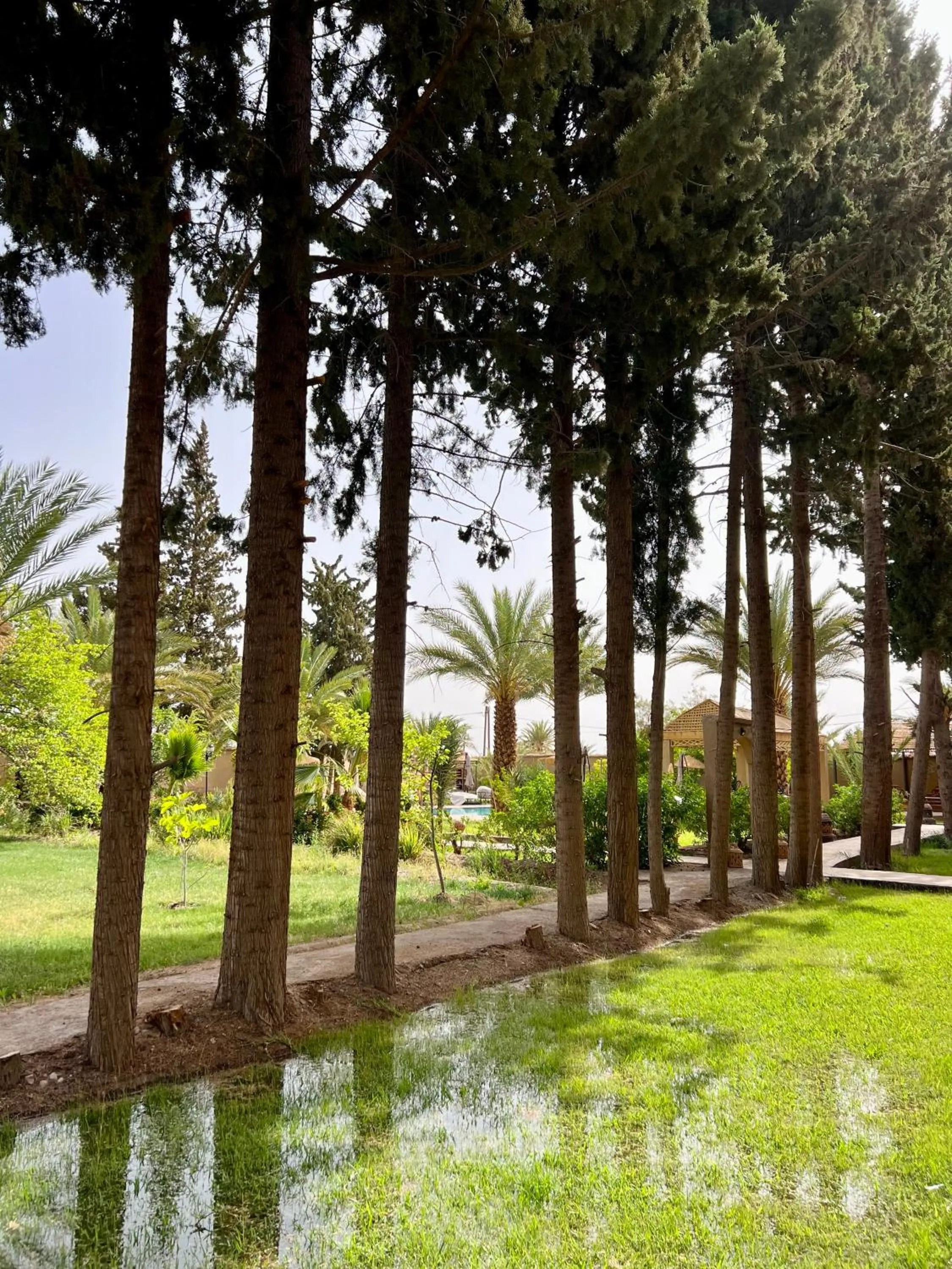 Natural landscape in Kasbah des cyprès