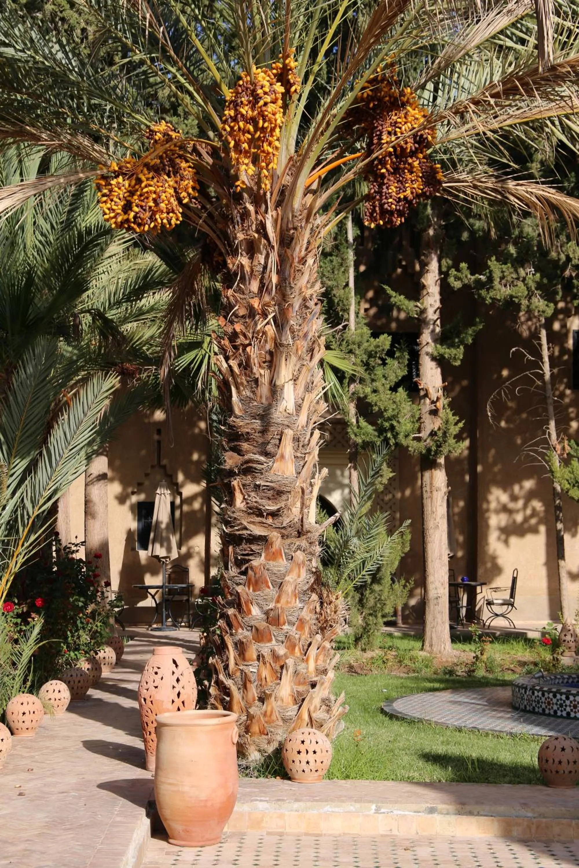 Garden in Kasbah des cyprès